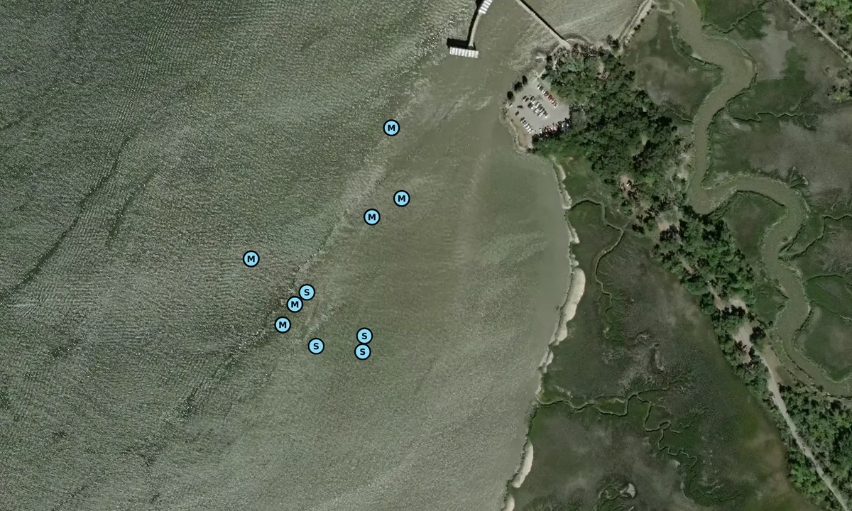 Satelite image of Jekyll Pier