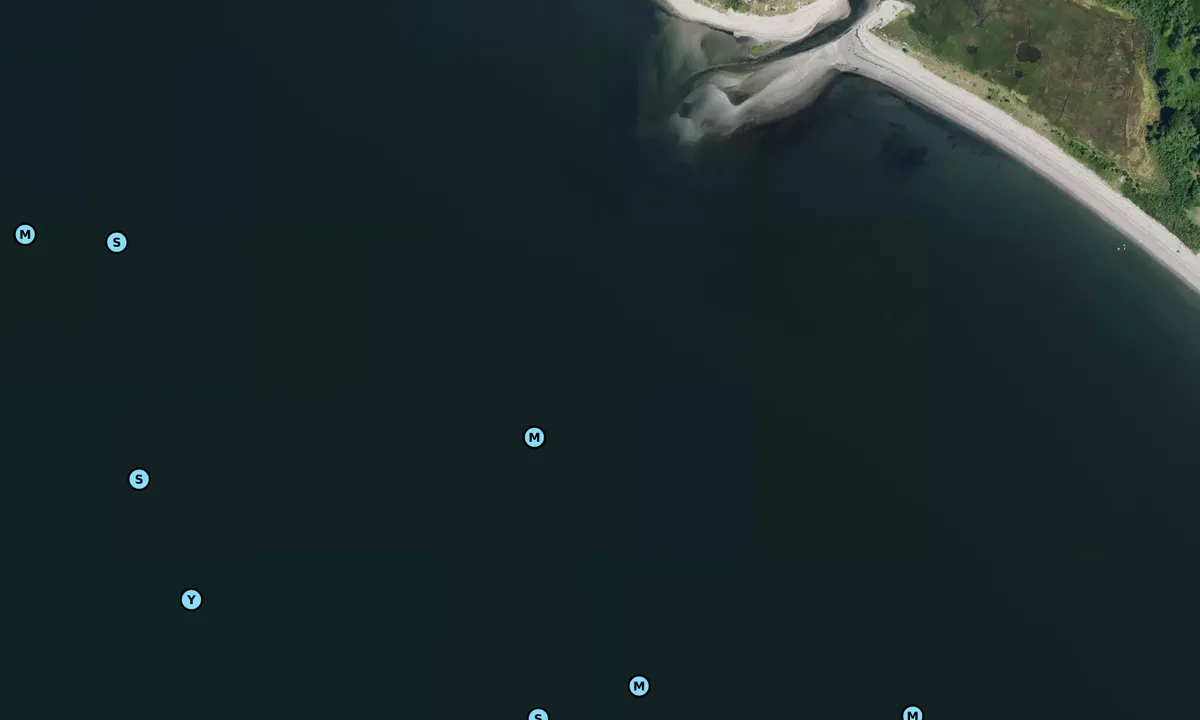 Satelite image of Jenny Pond (Pine Hill Cove)