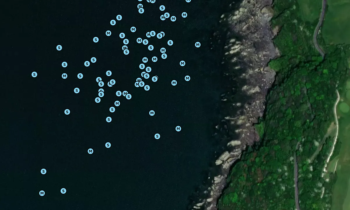 Satelite image of Jennycliff bay