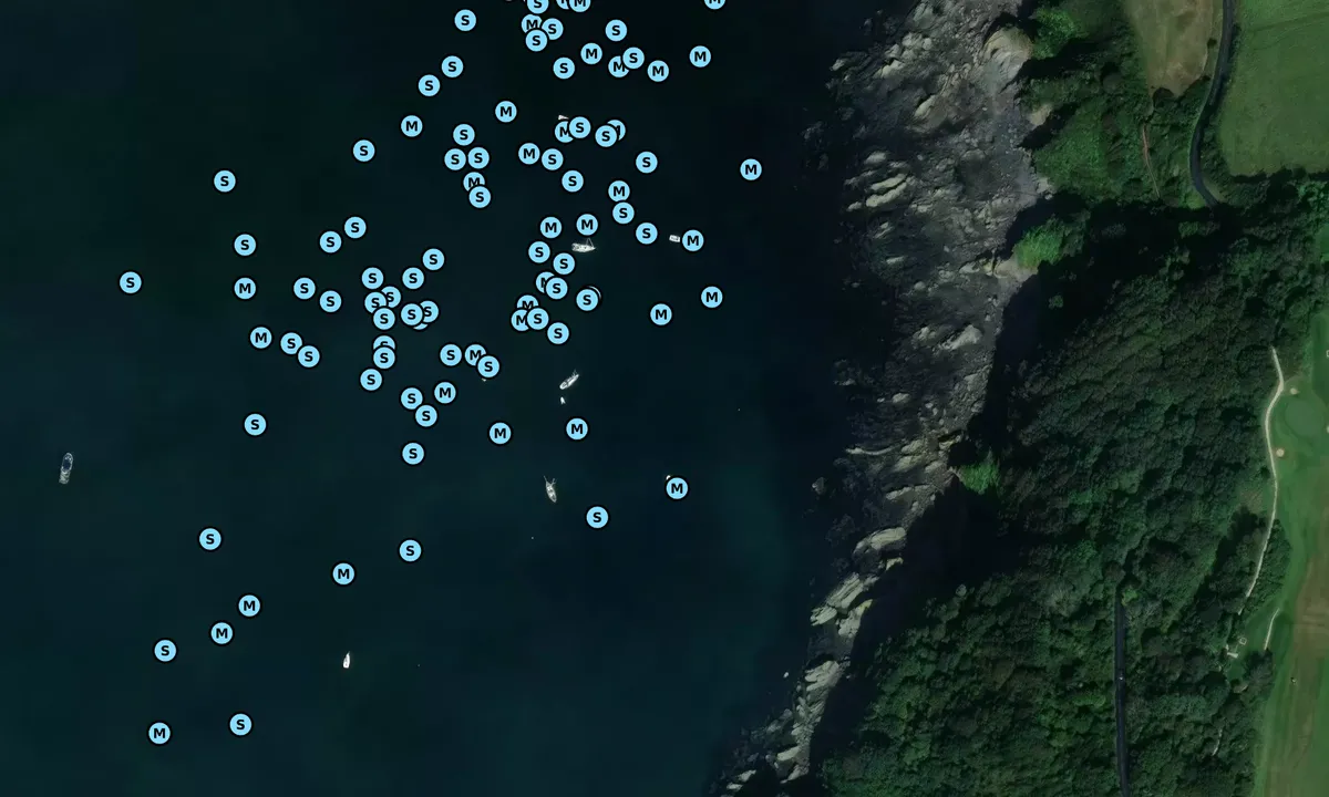Satelite image of Jennycliff bay