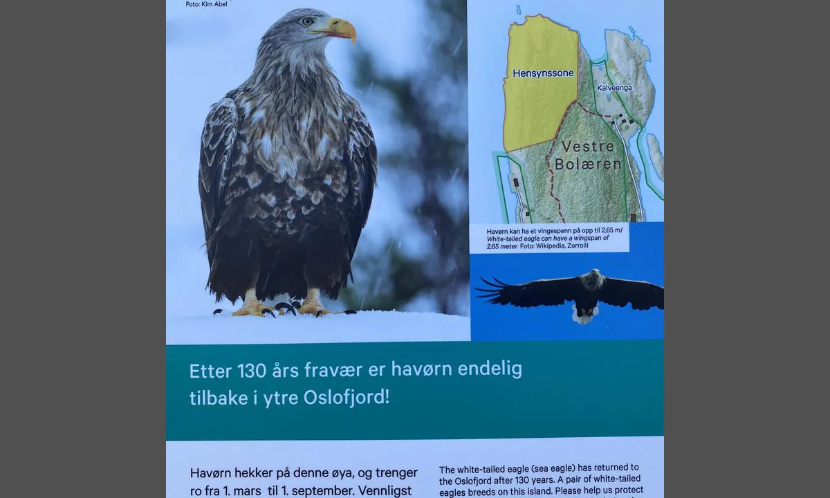Jensesundet - Bolærne: {"base": "no", "no": "Er du heldig, f\u00e5r du se Hav\u00f8rn n\u00e5r du bes\u00f8ker Jensesund og Bol\u00e6rne.", "se": "Om du har tur, kan du se havs\u00f6rn n\u00e4r du bes\u00f6ker Jensesund och Bol\u00e6rne.", "en": "If you are lucky, you will see Sea Eagles when you visit Jensesund and Bol\u00e6rne.", "da": "Er du heldig, f\u00e5r du se Hav\u00f8rn n\u00e5r du bes\u00f8ger Jensesund og Bol\u00e6rne."}