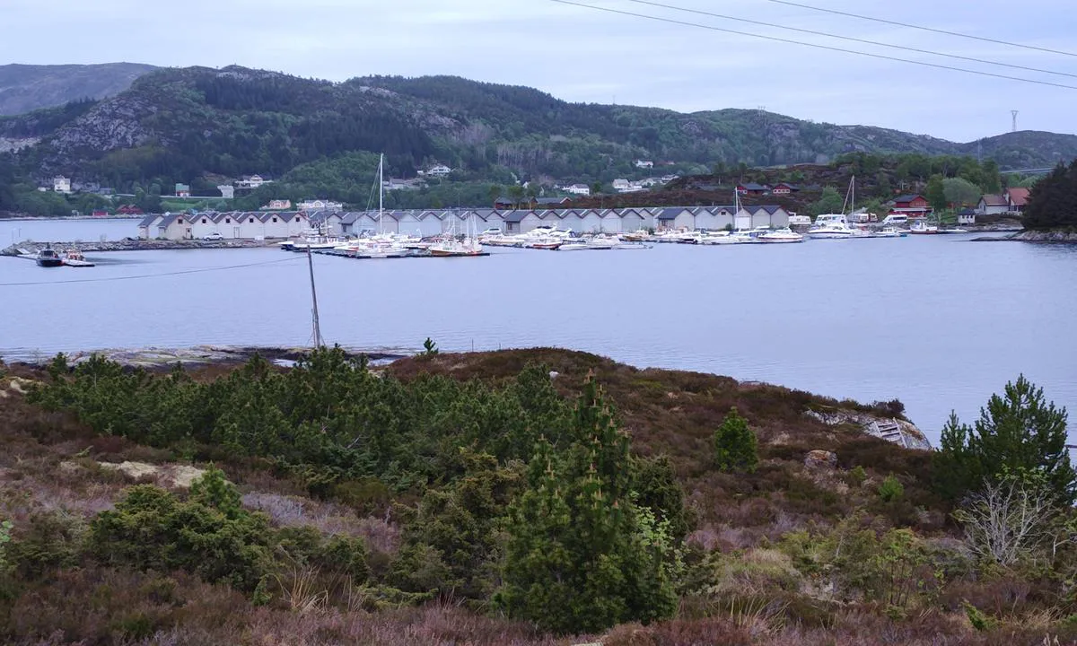 Jensholm: {"base": "no", "no": "Gjestebrygge heilt til h\u00f8yre i bilde, ved innseiling. Ser den p\u00e5 flyfoto bilde.", "se": "G\u00e4stbrygga l\u00e4ngst till h\u00f6ger i bilden, vid infarten. Ser den p\u00e5 flygfoto bilden.", "en": "Guest dock all the way to the right in the picture, by the entrance. You can see it in the aerial photo.", "da": "G\u00e6stebro helt til h\u00f8jre i billedet, ved indsejling. Ser den p\u00e5 luftfoto billede."}