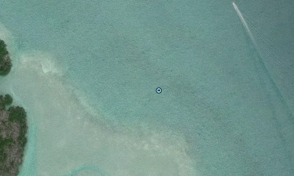 Satelite image of Jewfish Basin 1