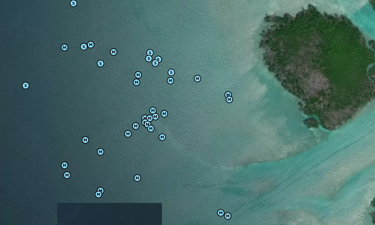 Satelite image of Jewfish basin 2