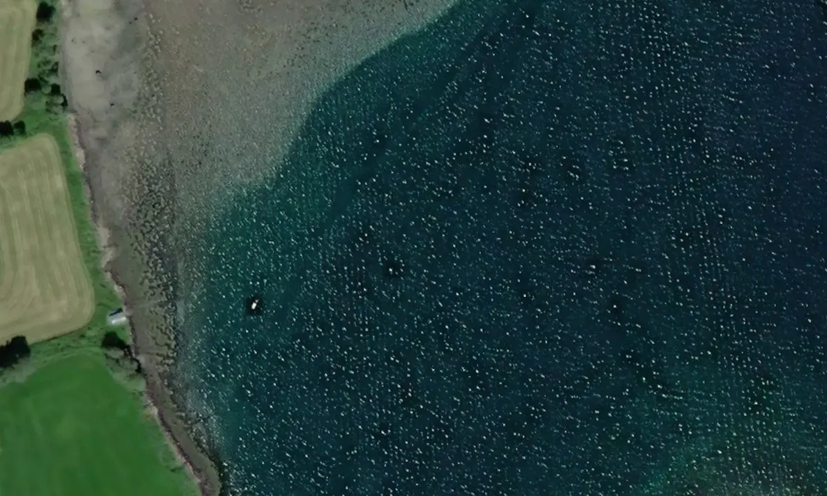 Satelite image of Jøa