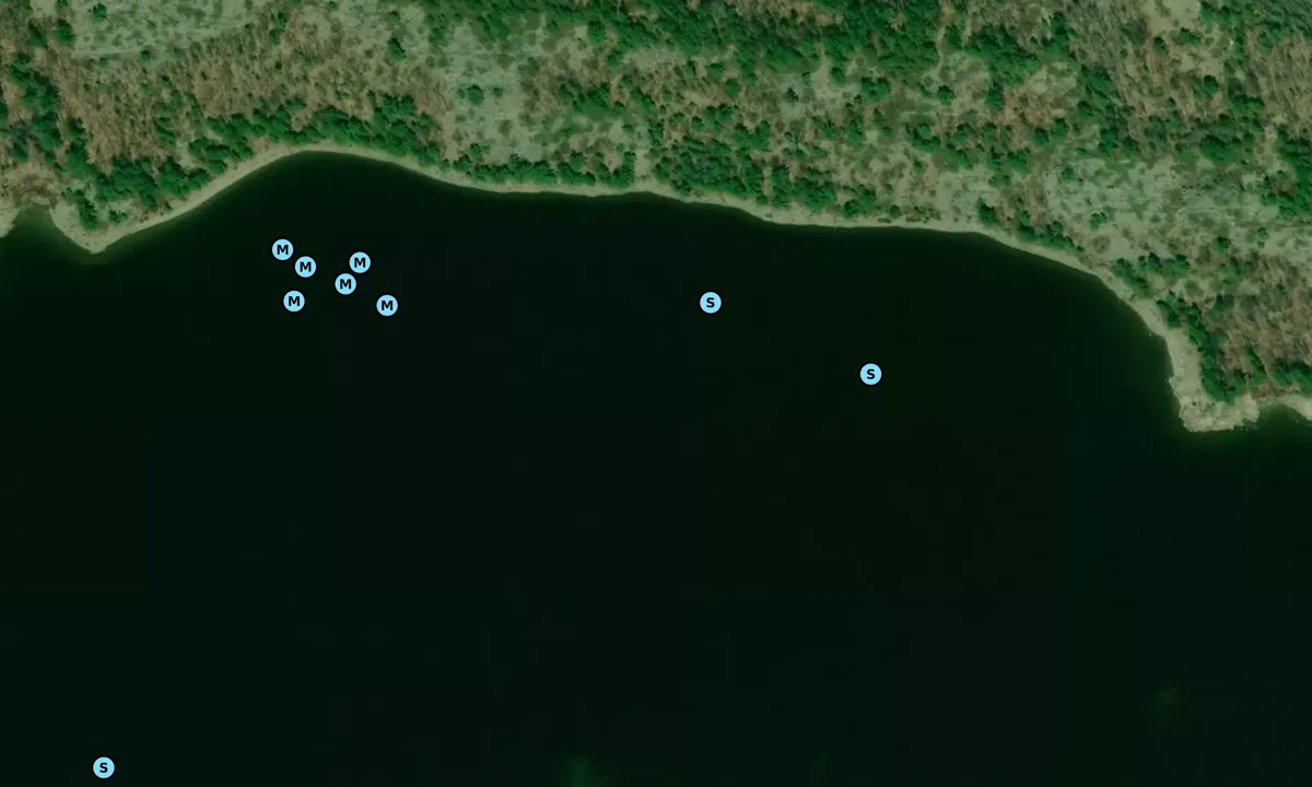Satelite image of John Island