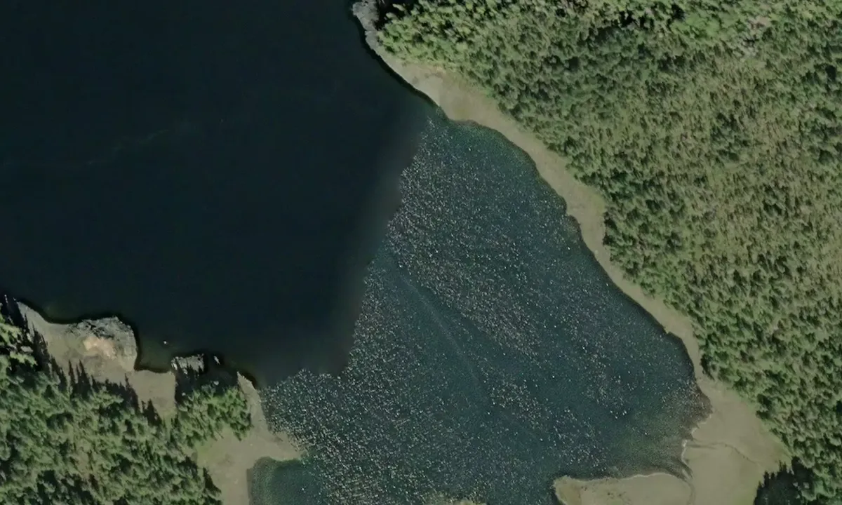 Satelite image of Johnson Cove - Alaska