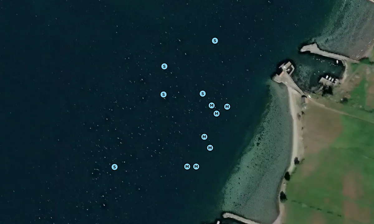 Satelite image of Jomfruland