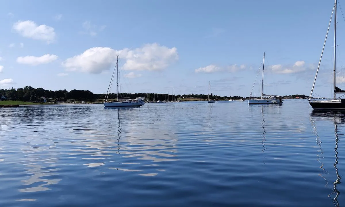 Jomfruland Gjestehavn: {"base": "no", "no": "Veldig fint \u00e5 ligge p\u00e5 svai", "se": "V\u00e4ldigt fint att ligga p\u00e5 svaj", "en": "Very nice to lay at anchor", "da": "Meget fint at ligge for anker"}