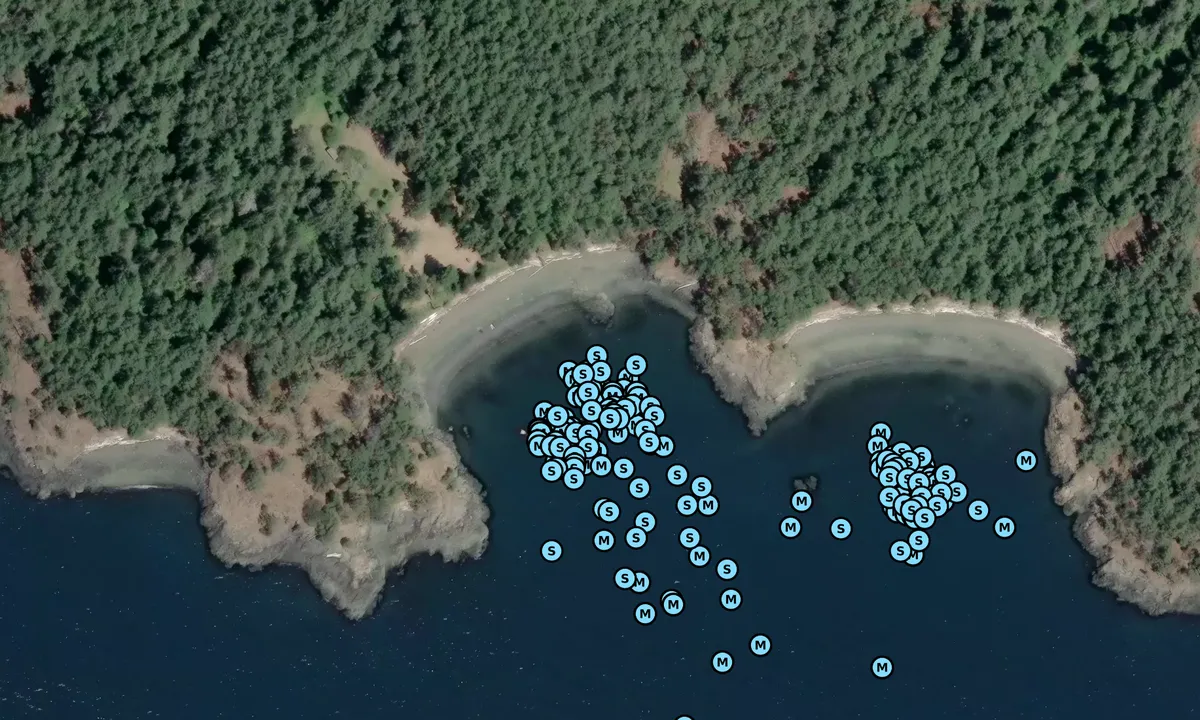 Satelite image of Jones Island South