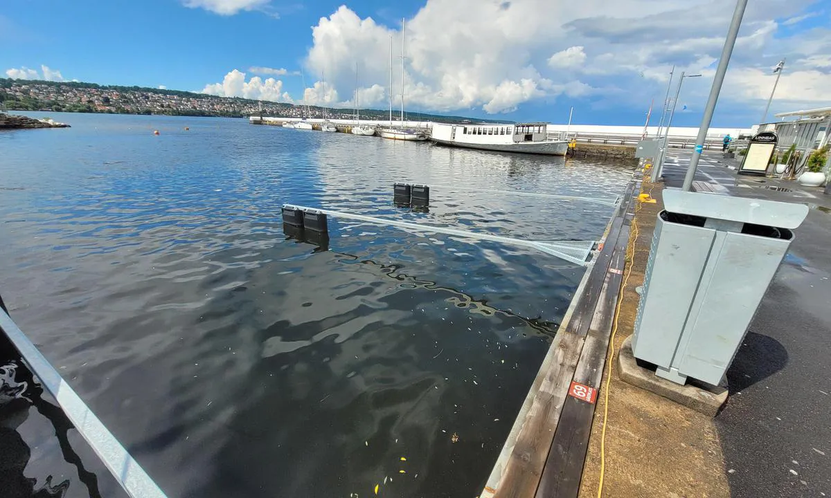 Jönköping: {"base": "de", "no": "Utsikt over gjesteomr\u00e5det til den kommunale havnen. Plasser 65, 68 og 69 ved fingrene. Der er det str\u00f8mforsyning.<br><br>I bakgrunnen den 160 meter lange gjestebrygga. Der er det ingen str\u00f8mforsyning.<br>Vannforsyning og avfallsh\u00e5ndtering ved servicebrygga ved broen i det s\u00f8r\u00f8stlige hj\u00f8rnet av havnen.", "se": "Vy \u00f6ver g\u00e4stomr\u00e5det i kommunala hamnen. Platser 65, 68 och 69 vid fingers. D\u00e4r finns elanslutning.<br><br>I bakgrunden den 160 meter l\u00e5nga g\u00e4stpiren. D\u00e4r finns ingen elanslutning.<br>Vattenp\u00e5fyllnad och avloppst\u00f6mning vid servicepiren vid bron i hamnens syd\u00f6stra h\u00f6rn.", "en": "View of the guest area of the municipal harbor. Berths 65, 68, and 69 at fingers. There is power supply there.<br><br>In the background, the 160-meter long guest pier. No power supply there.<br>Water supply and disposal at the service pier near the bridge in the southeastern corner of the harbor.", "da": "Udsigt over g\u00e6steomr\u00e5det i den kommunale havn. Pladser 65, 68 og 69 ved fingerpontoner. Der er str\u00f8mforsyning.<br><br>I baggrunden den 160 meter lange g\u00e6stepier. Der er ingen str\u00f8mforsyning.<br>Vand p\u00e5fyldning og t\u00f8mning ved servicepier ved broen i havnens syd\u00f8stlige hj\u00f8rne.", "fr": "Vue sur la zone des visiteurs du port municipal. Emplacements 65, 68 et 69 avec pontons. Alimentation \u00e9lectrique disponible l\u00e0-bas.<br><br>En arri\u00e8re-plan, le quai des visiteurs de 160 m\u00e8tres de long. Aucune alimentation \u00e9lectrique disponible l\u00e0-bas.<br>Distribution et \u00e9vacuation de l'eau au ponton de service pr\u00e8s du pont, \u00e0 l'angle sud-est du port.", "de": "Blick auf den G\u00e4stebereich des kommunalen Hafens. Pl\u00e4tze 65, 68 und 69 an Fingern. Dort Stromversorgung.\r\n\r\nIm Hintergrund die 160 Meter lange G\u00e4stepier. Dort keine Stromversorgung.\r\nWasser Ver- und Entsorgung am Servicepier bei der Br\u00fccke in der s\u00fcd\u00f6stlichen Ecke des Hafens.", "es": "<p>Vista de la zona de invitados del puerto municipal. Plazas 65, 68 y 69 en dedos de amarre. All\u00ed hay suministro de electricidad.</p><p>En el fondo, el muelle de invitados de 160 metros de largo. All\u00ed no hay suministro de electricidad.</p><p>Suministro y eliminaci\u00f3n de agua en el muelle de servicio junto al puente en la esquina sureste del puerto.</p>", "it": "Vista sulla zona degli ospiti del porto comunale. Posti 65, 68 e 69 ai moli. L\u00ec fornitura di energia elettrica.<br><br> Sullo sfondo il molo per gli ospiti lungo 160 metri. L\u00ec nessuna fornitura di energia elettrica.<br> Rifornimento e scarico d'acqua presso il molo di servizio vicino al ponte nell'angolo sud-est del porto.", "pt": "Vista da \u00e1rea de h\u00f3spedes do porto municipal. Lugares 65, 68 e 69 com fingers. Fornecimento el\u00e9trico l\u00e1.<br><br>No fundo, o cais para h\u00f3spedes de 160 metros de comprimento. Sem fornecimento el\u00e9trico l\u00e1.<br>Abastecimento e descarte de \u00e1gua no cais de servi\u00e7o perto da ponte no canto sudeste do porto.", "nl": "Uitzicht op het gasten gedeelte van de gemeentelijke haven. Plaatsen 65, 68 en 69 aan vingers. Daar stroomvoorziening.<br><br>Op de achtergrond de 160 meter lange gastensteiger. Daar geen stroomvoorziening.<br>Water aan- en afvoer bij de servicepier bij de brug in de zuidoostelijke hoek van de haven.", "pl": "Widok na cz\u0119\u015b\u0107 go\u015bcinn\u0105 portu komunalnego. Miejsca 65, 68 i 69 przy pirsach. Tam dost\u0119pna jest elektryczno\u015b\u0107.<br><br>W tle 160-metrowy pirs dla go\u015bci. Tam brak dost\u0119pu do elektryczno\u015bci.<br>Zaopatrzenie i odprowadzanie wody przy pirsie serwisowym obok mostu w po\u0142udniowo-wschodnim rogu portu.", "uk": "\u0412\u0438\u0433\u043b\u044f\u0434 \u043d\u0430 \u0437\u043e\u043d\u0443 \u0434\u043b\u044f \u0433\u043e\u0441\u0442\u0435\u0439 \u043c\u0443\u043d\u0456\u0446\u0438\u043f\u0430\u043b\u044c\u043d\u043e\u0433\u043e \u043f\u043e\u0440\u0442\u0443. \u041c\u0456\u0441\u0446\u044f 65, 68 \u0456 69 \u043d\u0430 \u043f\u043e\u043d\u0442\u043e\u043d\u0430\u0445. \u0422\u0430\u043c \u0435\u043b\u0435\u043a\u0442\u0440\u043e\u043f\u043e\u0441\u0442\u0430\u0447\u0430\u043d\u043d\u044f.<br><br>\u0423 \u0444\u043e\u043d\u0456 160-\u043c\u0435\u0442\u0440\u043e\u0432\u0438\u0439 \u0433\u043e\u0441\u0442\u044c\u043e\u0432\u0438\u0439 \u043f\u0456\u0440\u0441. \u0422\u0430\u043c \u043d\u0435\u043c\u0430\u0454 \u0435\u043b\u0435\u043a\u0442\u0440\u043e\u043f\u043e\u0441\u0442\u0430\u0447\u0430\u043d\u043d\u044f.<br>\u0412\u043e\u0434\u043e\u043f\u043e\u0441\u0442\u0430\u0447\u0430\u043d\u043d\u044f \u0442\u0430 \u0432\u043e\u0434\u043e\u0432\u0456\u0434\u0432\u0435\u0434\u0435\u043d\u043d\u044f \u043d\u0430 \u0441\u0435\u0440\u0432\u0456\u0441\u043d\u043e\u043c\u0443 \u043f\u0456\u0440\u0441\u0456 \u0431\u0456\u043b\u044f \u043c\u043e\u0441\u0442\u0443 \u0443 \u043f\u0456\u0432\u0434\u0435\u043d\u043d\u043e-\u0441\u0445\u0456\u0434\u043d\u043e\u043c\u0443 \u043a\u0443\u0442\u0456 \u043f\u043e\u0440\u0442\u0443.", "ro": "Vedere spre zona pentru oaspe\u021bi a portului comunal. Locuri 65, 68 \u0219i 69 la dane laterale. Acolo este asigurat\u0103 alimentarea cu energie electric\u0103.\n\n\u00cen fundal, pontonul pentru oaspe\u021bi lung de 160 de metri. Acolo nu este asigurat\u0103 alimentarea cu energie electric\u0103.\nAprovizionare \u0219i evacuare ap\u0103 la pontonul de servicii de l\u00e2ng\u0103 podul din col\u021bul sud-estic al portului.", "tr": "Belediye liman\u0131n\u0131n misafir b\u00f6lgesine bak\u0131\u015f. Yerler 65, 68 ve 69 parmak iskelelerde. Orada elektrik beslemesi var.<br><br>Arka planda 160 metre uzunlu\u011funda misafir iskelesi. Orada elektrik beslemesi yok.<br>Su tedarik ve tahliyesi, liman\u0131n g\u00fcneydo\u011fu k\u00f6\u015fesindeki k\u00f6pr\u00fcdeki hizmet iskelesinde.", "el": "\u0398\u03ad\u03b1 \u03c3\u03c4\u03b7\u03bd \u03c0\u03b5\u03c1\u03b9\u03bf\u03c7\u03ae \u03b5\u03c0\u03b9\u03c3\u03ba\u03b5\u03c0\u03c4\u03ce\u03bd \u03c4\u03bf\u03c5 \u03b4\u03b7\u03bc\u03bf\u03c4\u03b9\u03ba\u03bf\u03cd \u03bb\u03b9\u03bc\u03b1\u03bd\u03b9\u03bf\u03cd. \u0398\u03ad\u03c3\u03b5\u03b9\u03c2 65, 68 \u03ba\u03b1\u03b9 69 \u03c3\u03c4\u03b9\u03c2 \u03c0\u03c1\u03bf\u03b2\u03bb\u03ae\u03c4\u03b5\u03c2 \u03bc\u03b5 \u03b4\u03ac\u03c7\u03c4\u03c5\u03bb\u03b1. \u0395\u03ba\u03b5\u03af \u03c0\u03b1\u03c1\u03bf\u03c7\u03ae \u03c1\u03b5\u03cd\u03bc\u03b1\u03c4\u03bf\u03c2.<br><br>\u03a3\u03c4\u03bf \u03c0\u03b1\u03c1\u03b1\u03c3\u03ba\u03ae\u03bd\u03b9\u03bf \u03b7 160 \u03bc\u03ad\u03c4\u03c1\u03c9\u03bd \u03c0\u03c1\u03bf\u03b2\u03bb\u03ae\u03c4\u03b1 \u03b5\u03c0\u03b9\u03c3\u03ba\u03b5\u03c0\u03c4\u03ce\u03bd. \u0395\u03ba\u03b5\u03af \u03b4\u03b5\u03bd \u03c5\u03c0\u03ac\u03c1\u03c7\u03b5\u03b9 \u03c0\u03b1\u03c1\u03bf\u03c7\u03ae \u03c1\u03b5\u03cd\u03bc\u03b1\u03c4\u03bf\u03c2.<br><br>\u03a0\u03b1\u03c1\u03bf\u03c7\u03ae \u03ba\u03b1\u03b9 \u03b1\u03c0\u03bf\u03c7\u03ad\u03c4\u03b5\u03c5\u03c3\u03b7 \u03bd\u03b5\u03c1\u03bf\u03cd \u03c3\u03c4\u03b7\u03bd \u03c0\u03c1\u03bf\u03b2\u03bb\u03ae\u03c4\u03b1 \u03c5\u03c0\u03b7\u03c1\u03b5\u03c3\u03af\u03b1\u03c2 \u03ba\u03bf\u03bd\u03c4\u03ac \u03c3\u03c4\u03b7 \u03b3\u03ad\u03c6\u03c5\u03c1\u03b1 \u03c3\u03c4\u03b7 \u03bd\u03bf\u03c4\u03b9\u03bf\u03b1\u03bd\u03b1\u03c4\u03bf\u03bb\u03b9\u03ba\u03ae \u03b3\u03c9\u03bd\u03af\u03b1 \u03c4\u03bf\u03c5 \u03bb\u03b9\u03bc\u03b1\u03bd\u03b9\u03bf\u03cd.", "cs": "Pohled na \u010d\u00e1st pro hosty v komun\u00e1ln\u00edm p\u0159\u00edstavu. M\u00edsta 65, 68 a 69 u finger\u016f. P\u0159ipojen\u00ed k elekt\u0159in\u011b na t\u011bchto m\u00edstech.<br><br>V pozad\u00ed 160 metr\u016f dlouh\u00e9 molo pro hosty. Zde nen\u00ed \u017e\u00e1dn\u00e9 p\u0159ipojen\u00ed k elekt\u0159in\u011b.<br><br>Voda a slu\u017eby na servisn\u00edm molu u mostu v jihov\u00fdchodn\u00edm rohu p\u0159\u00edstavu.", "hu": "Kil\u00e1t\u00e1s a k\u00f6z\u00f6ss\u00e9gi kik\u00f6t\u0151 vend\u00e9gr\u00e9sz\u00e9re. Helyek 65, 68 \u00e9s 69 a m\u00f3l\u00f3kn\u00e1l. Ott \u00e1ramell\u00e1t\u00e1s.<br><br>H\u00e1tt\u00e9rben a 160 m\u00e9ter hossz\u00fa vend\u00e9gm\u00f3l\u00f3. Ott nincs \u00e1ramell\u00e1t\u00e1s.<br>V\u00edzell\u00e1t\u00e1s \u00e9s -elvezet\u00e9s a szolg\u00e1ltat\u00f3m\u00f3l\u00f3n\u00e1l a h\u00eddn\u00e1l, a kik\u00f6t\u0151 d\u00e9lkeleti sark\u00e1ban.", "fi": "N\u00e4kym\u00e4 kunnan sataman vierasalueelle. Paikat 65, 68 ja 69 sormilaitureilla. Siell\u00e4 s\u00e4hk\u00f6liit\u00e4nt\u00e4.\n\nTaustalla 160 metri\u00e4 pitk\u00e4 vieraslaituri. Siell\u00e4 ei ole s\u00e4hk\u00f6liit\u00e4nt\u00e4\u00e4.\nVeden jakelu ja j\u00e4tevesien poisto palvelulaiturilla sillan luona sataman kaakkoiskulmassa.", "bg": "\u0418\u0437\u0433\u043b\u0435\u0434 \u043a\u044a\u043c \u0437\u043e\u043d\u0430\u0442\u0430 \u0437\u0430 \u0433\u043e\u0441\u0442\u0438 \u043d\u0430 \u043e\u0431\u0449\u0438\u043d\u0441\u043a\u043e\u0442\u043e \u043f\u0440\u0438\u0441\u0442\u0430\u043d\u0438\u0449\u0435. \u041c\u0435\u0441\u0442\u0430 65, 68 \u0438 69 \u043d\u0430 \u043f\u0440\u044a\u0441\u0442\u0438\u0442\u0435. \u0422\u0430\u043c \u0438\u043c\u0430 \u0435\u043b\u0435\u043a\u0442\u0440\u043e\u0437\u0430\u0445\u0440\u0430\u043d\u0432\u0430\u043d\u0435.<br><br>\u041d\u0430 \u0437\u0430\u0434\u0435\u043d \u043f\u043b\u0430\u043d \u0435 160-\u043c\u0435\u0442\u0440\u043e\u0432\u0438\u044f\u0442 \u043a\u0435\u0439 \u0437\u0430 \u0433\u043e\u0441\u0442\u0438. \u0422\u0430\u043c \u043d\u044f\u043c\u0430 \u0435\u043b\u0435\u043a\u0442\u0440\u043e\u0437\u0430\u0445\u0440\u0430\u043d\u0432\u0430\u043d\u0435.<br><br>\u0412\u043e\u0434\u043e\u0441\u043d\u0430\u0431\u0434\u044f\u0432\u0430\u043d\u0435 \u0438 \u0438\u0437\u0442\u043e\u0447\u0432\u0430\u043d\u0435 \u043d\u0430 \u0432\u043e\u0434\u0430 \u043d\u0430 \u0441\u0435\u0440\u0432\u0438\u0437\u043d\u0438\u044f \u043a\u0435\u0439 \u043f\u0440\u0438 \u043c\u043e\u0441\u0442\u0430 \u0432 \u044e\u0433\u043e\u0438\u0437\u0442\u043e\u0447\u043d\u0438\u044f \u044a\u0433\u044a\u043b \u043d\u0430 \u043f\u0440\u0438\u0441\u0442\u0430\u043d\u0438\u0449\u0435\u0442\u043e.", "sr": "Pogled na gostuju\u0107i deo komunalne luke. Mesta 65, 68 i 69 uz prste. Tamo je napajanje strujom.\n\nU pozadini se nalazi gostuju\u0107i mol du\u017eine 160 metara. Tamo nema napajanja strujom.\n\nNapunja\u010d vode i odvod kod mol usluge pored mosta u jugoisto\u010dnom delu luke.", "et": "Vaade munitsipaalsadama k\u00fclalisalale. Kohad 65, 68 ja 69 sildadel. Seal elektrivarustus.<br><br>Taustal 160 meetri pikkune k\u00fclaliskaid. Seal ei ole elektrivarustust.<br>Veega varustamine ja vee \u00e4rajuhtimine teenindussillal silla juures sadama kagunurgas.", "lv": "Skats uz viesu zonu pa\u0161vald\u012bbas ost\u0101. Vietas 65, 68 un 69 pie pirkstiem. Tur ir elektr\u012bbas padeve.<br><br>Fon\u0101 redzama 160 metrus gara viesu piest\u0101tne. Tur nav elektr\u012bbas padeves.<br>\u016adens pieg\u0101de un izl\u0101de pie pakalpojumu piest\u0101tnes blakus tiltam, ostas dienvidaustrumu st\u016br\u012b.", "lt": "Vaizdas \u012f sve\u010di\u0173 zon\u0105 savivaldyb\u0117s uoste. 65, 68 ir 69 vietos \u0161ak\u0117se. Ten elektros tiekimas.<br><br>Fone 160 metr\u0173 ilgio sve\u010di\u0173 prieplauka. Ten elektros tiekimo n\u0117ra.<br>Vandens tiekimas ir skyst\u0173j\u0173 atliek\u0173 surinkimas prie paslaug\u0173 prieplaukos \u0161alia tilto pietrytin\u0117je uosto kampo dalyje."}