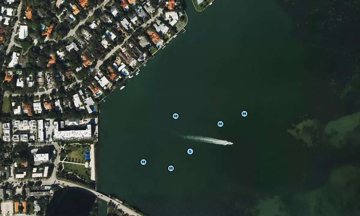 Satelite image of Julia Tuttle West