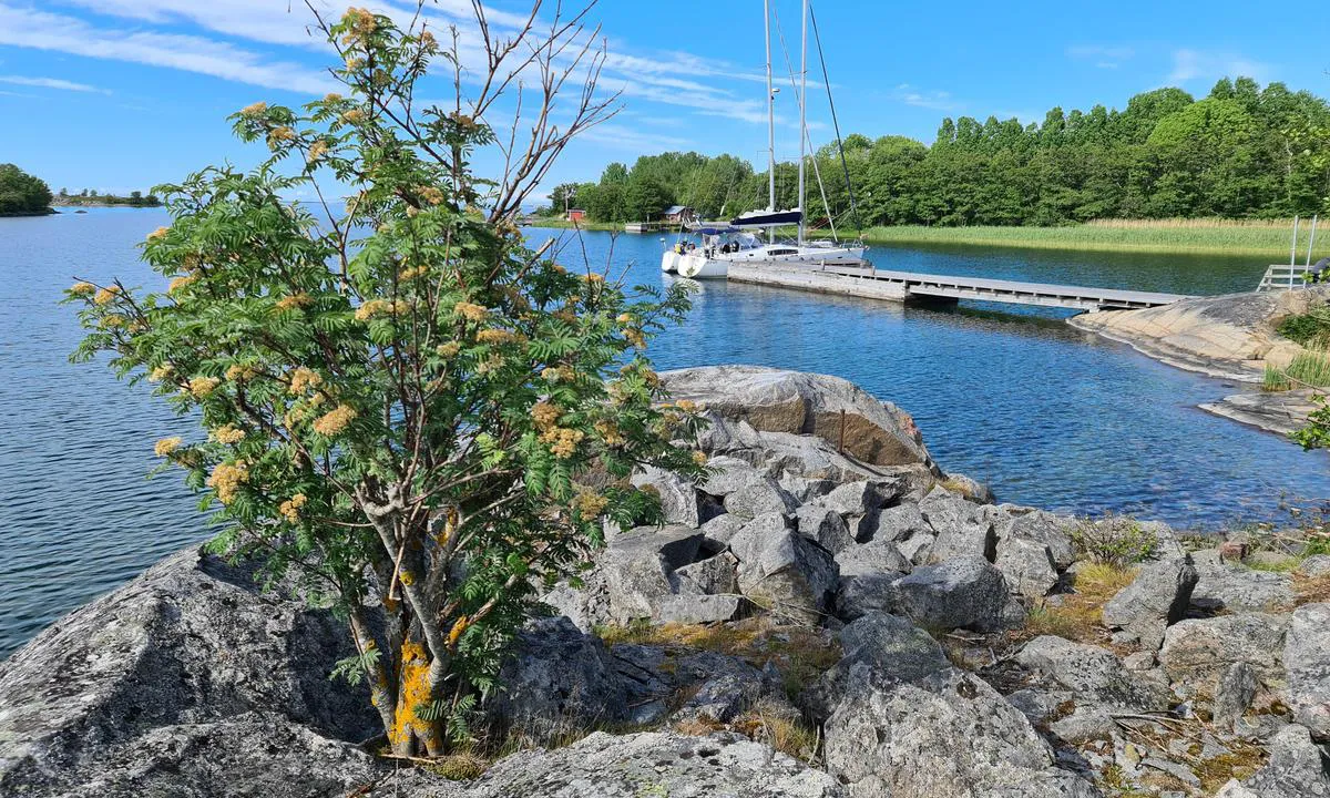Jungfruskär 1