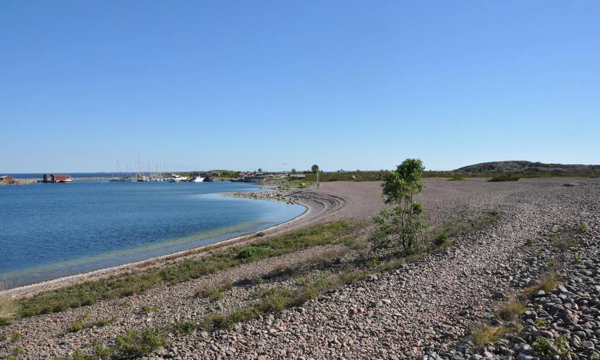 {"base": "en", "no": "Jurmo steinstrand", "se": "Jurmo stenstrand", "en": "Jurmo stone beach", "da": "Jurmo stenestrand"}