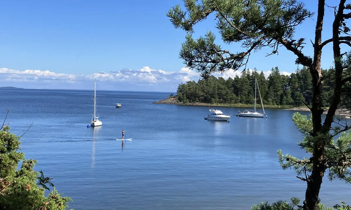 Lurö Bösshamn: {"base": "se", "no": "Riktig fin naturhavn med sandbunn og utedo.", "se": "Riktigt fin naturhamn med sandbotten och utedass.", "en": "Really nice natural harbour with a sandy bottom and an outhouse.", "da": "Rigtig fin naturhavn med sandbund og udend\u00f8rs toilet."}