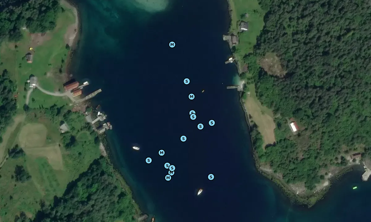 Satelite image of Kalvasundet