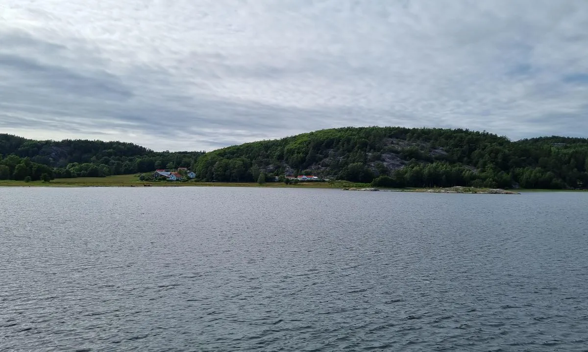 Kalvöfjord: {"base": "se", "no": "Mot vest.", "se": "Mot vest.", "en": "Towards west.", "da": "Mod vest."}