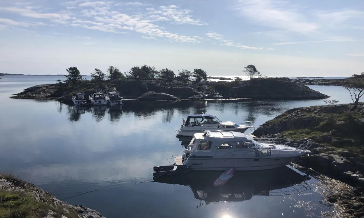 Kalvøyhavn: {"base": "no", "no": "Plassen her inne i bukta klarer en fint \u00e5 ligge 4 b\u00e5ter p\u00e5.", "se": "Platsen h\u00e4r inne i bukten klarar fint att rymma 4 b\u00e5tar.", "en": "The space here inside the bay can comfortably accommodate 4 boats.", "da": "Pladsen her inde i bugten kan fint have 4 b\u00e5de liggende.", "fr": "On peut facilement accueillir 4 bateaux sur cette place ici dans la baie.", "de": "Der Platz hier in der Bucht reicht gut f\u00fcr 4 Boote.", "es": "El lugar aqu\u00ed dentro de la bah\u00eda permite acomodar bien a 4 barcos.", "it": "Questo spazio all'interno della baia pu\u00f2 ospitare comodamente 4 barche.", "pt": "O espa\u00e7o aqui dentro da ba\u00eda \u00e9 suficiente para acomodar 4 barcos.", "nl": "Er is hier in de baai genoeg plaats om 4 boten comfortabel te laten liggen.", "pl": "Miejsca tutaj w zatoce wystarczy na 4 \u0142odzie.", "uk": "\u041c\u0456\u0441\u0446\u044f \u0442\u0443\u0442 \u0443 \u0431\u0443\u0445\u0442\u0456 \u0434\u043e\u0441\u0442\u0430\u0442\u043d\u044c\u043e \u0434\u043b\u044f \u0442\u043e\u0433\u043e, \u0449\u043e\u0431 \u0440\u043e\u0437\u043c\u0456\u0441\u0442\u0438\u0442\u0438 4 \u0447\u043e\u0432\u043d\u0438.", "ro": "Locul aici \u00een golf poate acomoda cu u\u0219urin\u021b\u0103 4 b\u0103rci.", "tr": "Buradaki koyda 4 tekne rahatl\u0131kla s\u0131\u011fabilir.", "el": "\u039f \u03c7\u03ce\u03c1\u03bf\u03c2 \u03b5\u03b4\u03ce \u03bc\u03ad\u03c3\u03b1 \u03c3\u03c4\u03bf\u03bd \u03ba\u03cc\u03bb\u03c0\u03bf \u03b5\u03af\u03bd\u03b1\u03b9 \u03ba\u03b1\u03c4\u03ac\u03bb\u03bb\u03b7\u03bb\u03bf\u03c2 \u03b3\u03b9\u03b1 \u03bd\u03b1 \u03c7\u03c9\u03c1\u03ad\u03c3\u03bf\u03c5\u03bd \u03ba\u03b1\u03bb\u03ac 4 \u03c3\u03ba\u03ac\u03c6\u03b7.", "cs": "M\u00edsto zde v z\u00e1toce pojme pohodln\u011b 4 lod\u011b.", "hu": "A hely itt a \u00f6b\u00f6lben el\u00e9g j\u00f3, hogy 4 haj\u00f3 elf\u00e9rjen.", "fi": "T\u00e4\u00e4ll\u00e4 lahden sis\u00e4ll\u00e4 oleva paikka pystyy hyvin majoittamaan 4 venett\u00e4.", "bg": "\u0412\u044a\u0437\u043c\u043e\u0436\u043d\u043e \u0435 \u0434\u0430 \u0441\u0435 \u043f\u043e\u0431\u0435\u0440\u0430\u0442 4 \u043b\u043e\u0434\u043a\u0438 \u043d\u0430 \u043c\u044f\u0441\u0442\u043e\u0442\u043e \u0442\u0443\u043a \u0432 \u0437\u0430\u043b\u0438\u0432\u0430.", "sr": "\u041c\u0435\u0441\u0442\u043e \u043e\u0432\u0434\u0435 \u0443 \u0437\u0430\u043b\u0438\u0432\u0443 \u043c\u043e\u0436\u0435 \u043b\u0430\u043a\u043e \u0434\u0430 \u043f\u0440\u0438\u043c\u0438 4 \u0431\u0440\u043e\u0434\u0430.", "et": "Siinne lahesopi mahub kenasti 4 paati.", "lv": "\u0160aj\u0101 l\u012bc\u012b labi ietilpst 4 laivas.", "lt": "Vieta vidin\u0117je \u012flankoje gali patogiai talpinti 4 valtis."}