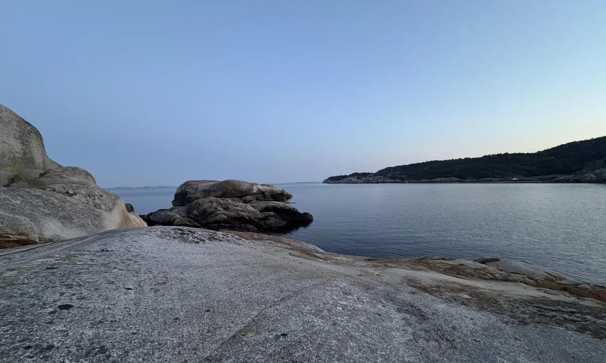 Kartobukta