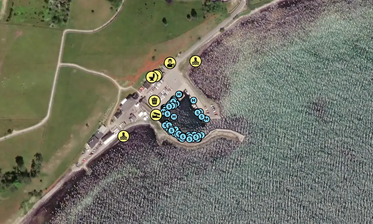 Satelite image of Kåseberga Hamn