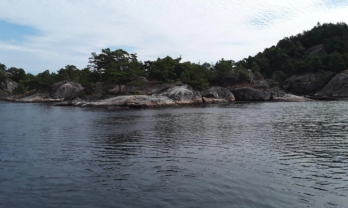 Kastekilen - Fugløy