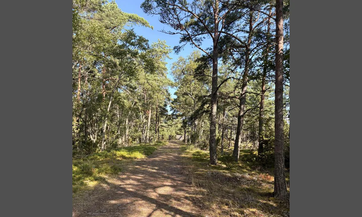 Katanpää: {"base": "en", "no": "Vakre turstier", "se": "Vackra vandringsleder", "en": "Pretty walking trails", "da": "Smukke vandrestier", "fr": "Jolis sentiers de randonn\u00e9e", "de": "Sch\u00f6ne Wanderwege", "es": "Bonitos senderos para caminar", "it": "Sentieri pittoreschi", "pt": "Bons trilhos para caminhada", "nl": "Mooie wandelpaden", "pl": "\u0141adne szlaki spacerowe", "uk": "\u0413\u0430\u0440\u043d\u0456 \u043f\u0456\u0448\u043e\u0445\u0456\u0434\u043d\u0456 \u0441\u0442\u0435\u0436\u043a\u0438", "ro": "Trasee frumoase de plimbare", "tr": "G\u00fczel y\u00fcr\u00fcy\u00fc\u015f parkurlar\u0131", "el": "\u038c\u03bc\u03bf\u03c1\u03c6\u03b1 \u03bc\u03bf\u03bd\u03bf\u03c0\u03ac\u03c4\u03b9\u03b1 \u03c0\u03b5\u03b6\u03bf\u03c0\u03bf\u03c1\u03af\u03b1\u03c2", "cs": "Kr\u00e1sn\u00e9 turistick\u00e9 stezky", "hu": "Sz\u00e9p s\u00e9t\u00e1l\u00f3\u00f6sv\u00e9nyek", "fi": "Kauniita k\u00e4velyreittej\u00e4", "bg": "\u041a\u0440\u0430\u0441\u0438\u0432\u0430 \u043f\u0435\u0448\u0435\u0445\u043e\u0434\u043d\u0430 \u0430\u043b\u0435\u044f", "sr": "Lepi pe\u0161a\u010dki putevi", "et": "Ilusad jalutusteed", "lv": "Skaistas pastaigu takas", "lt": "Gra\u017e\u016bs pasivaik\u0161\u010diojimo takai"}