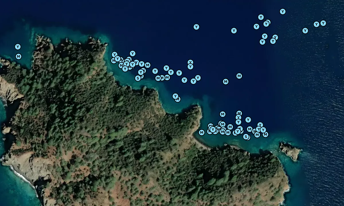 Satelite image of Katrancik Adasi - NE