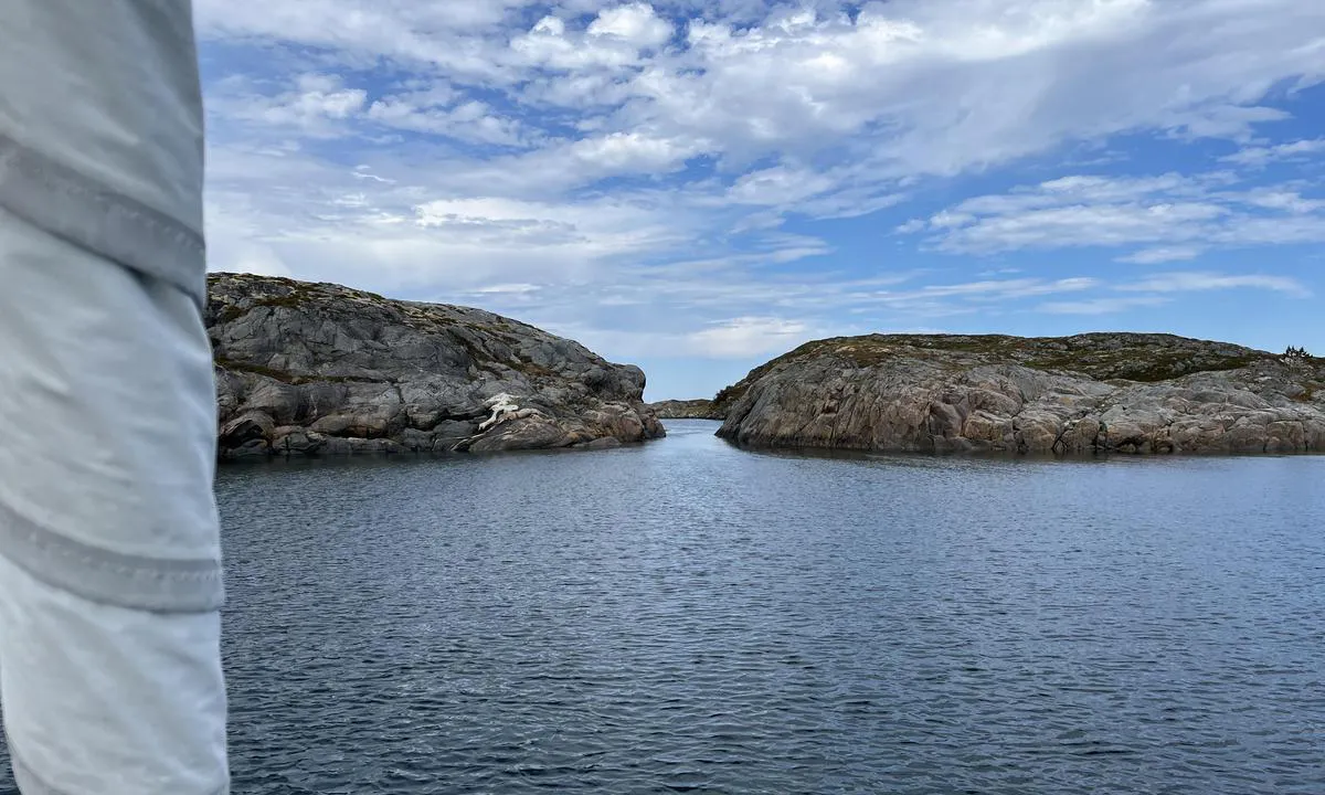 {"base": "se", "no": "Kattuggelholmen.", "se": "Kattuggelholmen.", "en": "Kattuggelholmen.", "da": "Kattugleholmen."}