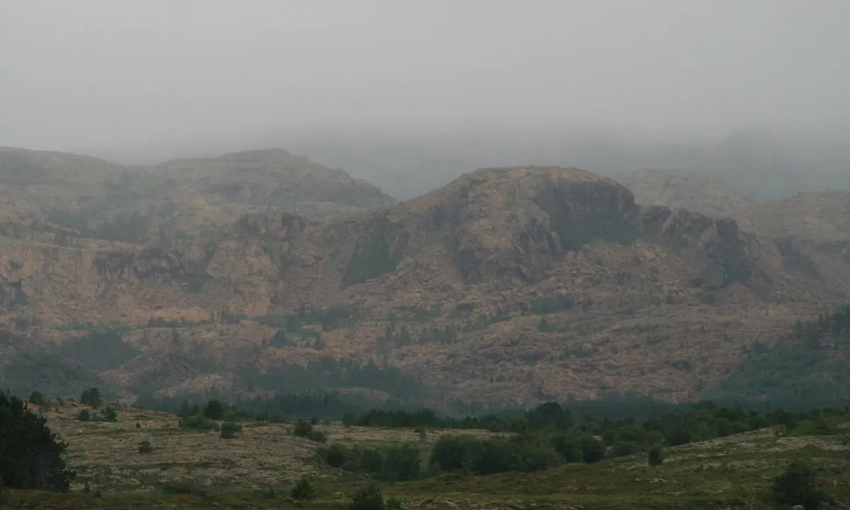 Kavringan: Litt skodde, men fin utsikt til den spesielle gulrøde fargen i fjellet på Leka