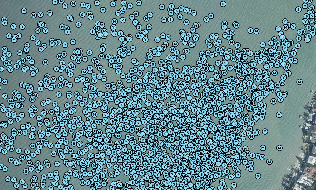 Satelite image of Key Biscayne Bight