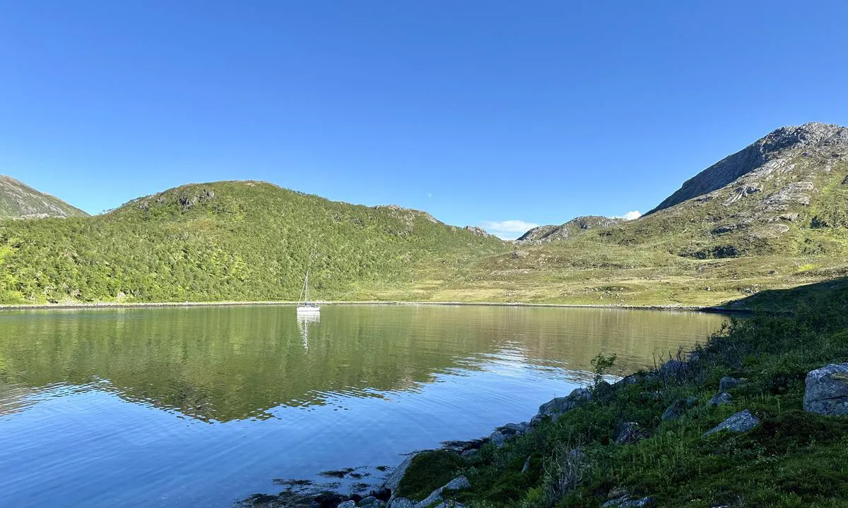 Kifjorden