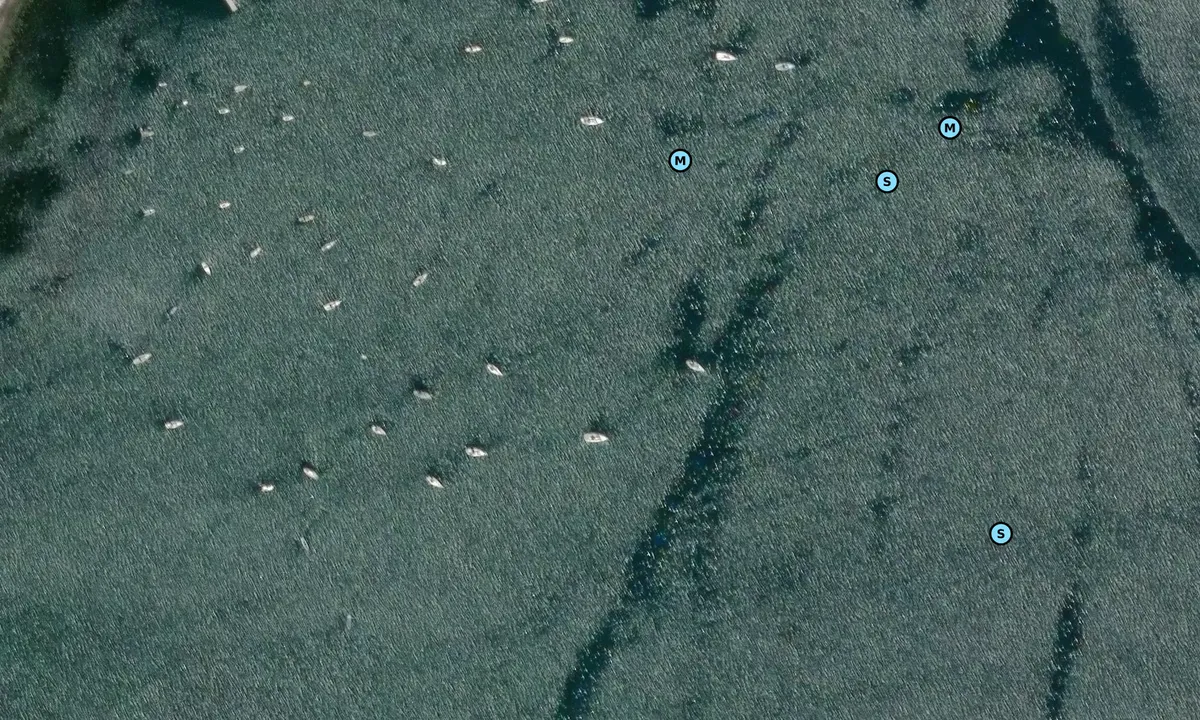 Satelite image of Killyleagh