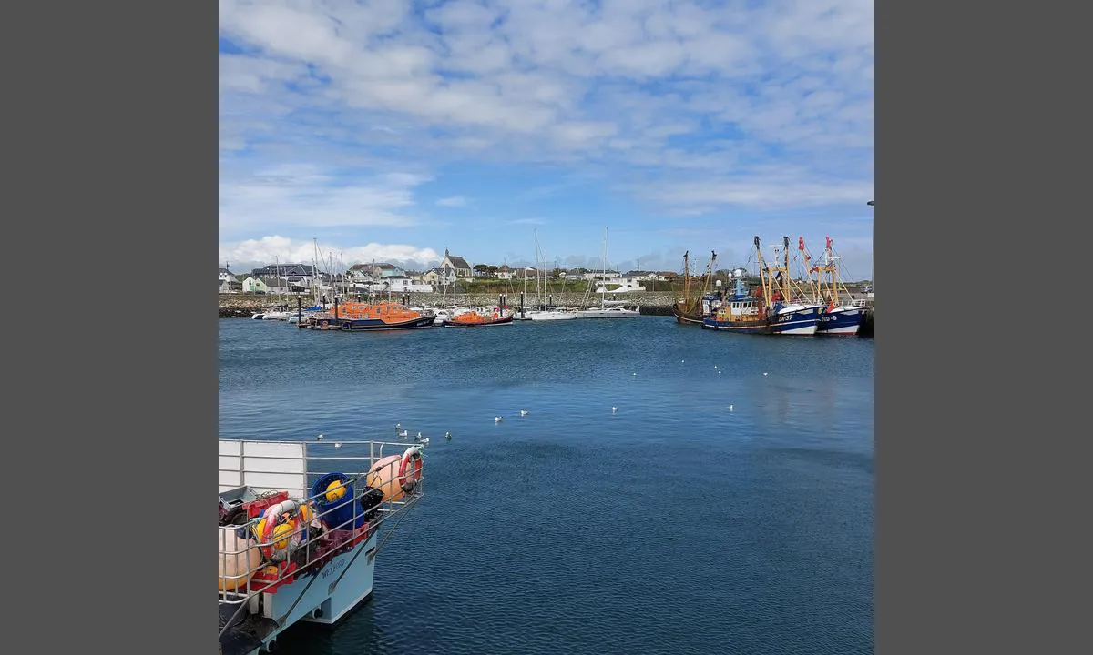 Kilmore Quay Fishing Port and Marina: {"base": "en", "no": "Godt beskyttet mot b\u00f8lger, ikke mot vind!", "se": "V\u00e4l skyddad fr\u00e5n v\u00e5gor, inte fr\u00e5n vind!", "en": "Well protected from waves, not from wind!", "da": "Godt beskyttet mod b\u00f8lger, ikke mod vind!"}