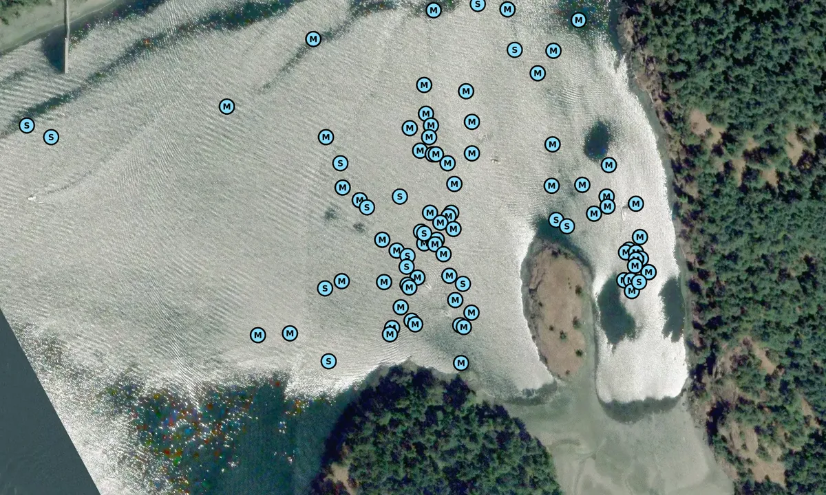 Satelite image of Kimball Preserve