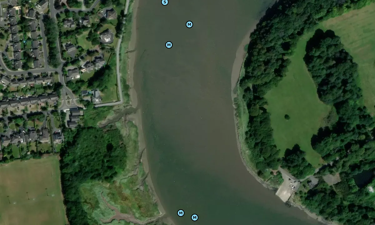 Satelite image of Kings island