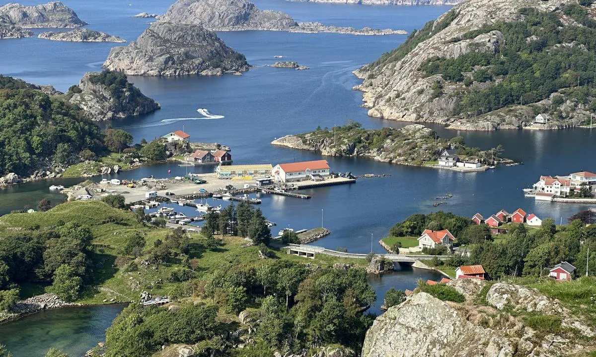 Kirkehamn Fiskerihavna: {"base": "no", "no": "Fantastisk utsikt fra H\u00e5g\u00e5sen der det ligger rester av det tyske kystfortet fra andre verdenskrig. Fin tur. Du g\u00e5r opp veien som ligger til h\u00f8yre for butikken, s\u00e5 er det godt skiltet og en god tursti videre.", "se": "Fantastisk utsikt fr\u00e5n H\u00e5g\u00e5sen d\u00e4r det ligger rester av det tyska kustfortet fr\u00e5n andra v\u00e4rldskriget. Fin tur. Du g\u00e5r upp v\u00e4gen som ligger till h\u00f6ger om butiken, sedan \u00e4r det v\u00e4l skyltat och en bra vandringsled vidare.", "en": "Fantastic view from H\u00e5g\u00e5sen where there are remains of the German coastal fort from World War II. Nice hike. You walk up the road that is to the right of the store, then it is well signposted and a good hiking trail continues.", "da": "Fantastisk udsigt fra H\u00e5g\u00e5sen, hvor der ligger rester af det tyske kystfort fra Anden Verdenskrig. Fin tur. Du g\u00e5r op ad vejen, der ligger til h\u00f8jre for butikken, s\u00e5 er der godt skilte og en god vandresti videre.", "fr": "Vue fantastique depuis H\u00e5g\u00e5sen o\u00f9 se trouvent les restes du fort c\u00f4tier allemand de la Seconde Guerre mondiale. Belle promenade. Vous montez par le chemin \u00e0 droite du magasin, puis c'est bien indiqu\u00e9 et il y a un bon sentier de randonn\u00e9e \u00e0 suivre.", "de": "Fantastische Aussicht vom H\u00e5g\u00e5sen, wo sich Reste der deutschen K\u00fcstenfestung aus dem Zweiten Weltkrieg befinden. Sch\u00f6ne Tour. Sie gehen die Stra\u00dfe hinauf, die rechts vom Laden liegt, dann ist es gut ausgeschildert und es gibt einen guten Wanderweg weiter.", "es": "Vista fant\u00e1stica desde H\u00e5g\u00e5sen, donde se encuentran los restos de la fortaleza costera alemana de la Segunda Guerra Mundial. Bonita excursi\u00f3n. Subes por el camino que est\u00e1 a la derecha de la tienda, luego est\u00e1 bien se\u00f1alizado y hay un buen sendero para caminar.", "it": "Vista fantastica da H\u00e5g\u00e5sen dove ci sono resti della fortezza costiera tedesca della seconda guerra mondiale. Bella escursione. Si sale sulla strada a destra del negozio, poi \u00e8 ben segnalato e c'\u00e8 un buon sentiero.", "pt": "Vista fant\u00e1stica de H\u00e5g\u00e5sen, onde encontram-se os restos do forte costeiro alem\u00e3o da Segunda Guerra Mundial. \u00d3timo passeio. Voc\u00ea sobe pela estrada que fica \u00e0 direita da loja, depois h\u00e1 boa sinaliza\u00e7\u00e3o e uma boa trilha a seguir.", "nl": "Fantastisch uitzicht vanaf H\u00e5g\u00e5sen waar de resten van het Duitse kustfort van de Tweede Wereldoorlog liggen. Mooie tocht. Je gaat de weg op die rechts van de winkel ligt, daarna is het goed bewegwijzerd en is er verder een goed wandelpad.", "pl": "Fantastyczny widok z H\u00e5g\u00e5sen, gdzie znajduj\u0105 si\u0119 pozosta\u0142o\u015bci niemieckiej nadbrze\u017cnej fortecy z czas\u00f3w drugiej wojny \u015bwiatowej. Pi\u0119kna wycieczka. Id\u017a drog\u0105 po prawej stronie sklepu, potem jest dobrze oznakowane i dalej dobra \u015bcie\u017cka turystyczna.", "uk": "\u0424\u0430\u043d\u0442\u0430\u0441\u0442\u0438\u0447\u043d\u0438\u0439 \u0432\u0438\u0434 \u0437 \u0425\u043e\u0433\u043e\u0441\u0435\u043d\u0443, \u0434\u0435 \u0440\u043e\u0437\u0442\u0430\u0448\u043e\u0432\u0430\u043d\u0456 \u0437\u0430\u043b\u0438\u0448\u043a\u0438 \u043d\u0456\u043c\u0435\u0446\u044c\u043a\u043e\u0433\u043e \u0431\u0435\u0440\u0435\u0433\u043e\u0432\u043e\u0433\u043e \u0443\u043a\u0440\u0456\u043f\u043b\u0435\u043d\u043d\u044f \u0437 \u0447\u0430\u0441\u0456\u0432 \u0414\u0440\u0443\u0433\u043e\u0457 \u0441\u0432\u0456\u0442\u043e\u0432\u043e\u0457 \u0432\u0456\u0439\u043d\u0438. \u0413\u0430\u0440\u043d\u0438\u0439 \u043c\u0430\u0440\u0448\u0440\u0443\u0442. \u0412\u0438 \u043f\u0456\u0434\u043d\u0456\u043c\u0430\u0454\u0442\u0435\u0441\u044c \u0434\u043e\u0440\u043e\u0433\u043e\u044e, \u0449\u043e \u0437\u043d\u0430\u0445\u043e\u0434\u0438\u0442\u044c\u0441\u044f \u043f\u0440\u0430\u0432\u043e\u0440\u0443\u0447 \u0432\u0456\u0434 \u043c\u0430\u0433\u0430\u0437\u0438\u043d\u0443, \u0430 \u0434\u0430\u043b\u0456 \u0432\u0441\u0435 \u0434\u043e\u0431\u0440\u0435 \u043f\u043e\u0437\u043d\u0430\u0447\u0435\u043d\u043e \u0456 \u0454 \u0433\u0430\u0440\u043d\u0430 \u0441\u0442\u0435\u0436\u043a\u0430.", "ro": "Vedere fantastic\u0103 de pe H\u00e5g\u00e5sen, unde se afl\u0103 r\u0103m\u0103\u0219i\u021bele fortului de coast\u0103 german din al Doilea R\u0103zboi Mondial. Excursie pl\u0103cut\u0103. Urca\u021bi pe drumul care se afl\u0103 \u00een dreapta magazinului, apoi este bine semnalizat \u0219i exist\u0103 o potec\u0103 bun\u0103 pentru continuare.", "tr": "H\u00e5g\u00e5sen'den, \u0130kinci D\u00fcnya Sava\u015f\u0131'ndan kalma Alman sahil kalesinin kal\u0131nt\u0131lar\u0131n\u0131n oldu\u011fu yerden muhte\u015fem manzara. G\u00fczel bir y\u00fcr\u00fcy\u00fc\u015f. D\u00fckkan\u0131n sa\u011f\u0131nda bulunan yoldan yukar\u0131 do\u011fru y\u00fcr\u00fcyorsunuz, sonra iyi tabelaland\u0131r\u0131lm\u0131\u015f ve iyi bir y\u00fcr\u00fcy\u00fc\u015f parkuru devam ediyor.", "el": "\u03a6\u03b1\u03bd\u03c4\u03b1\u03c3\u03c4\u03b9\u03ba\u03ae \u03b8\u03ad\u03b1 \u03b1\u03c0\u03cc \u03c4\u03bf \u03a7\u03bf\u03b3\u03ba\u03ac\u03c3\u03b5\u03bd \u03cc\u03c0\u03bf\u03c5 \u03c5\u03c0\u03ac\u03c1\u03c7\u03bf\u03c5\u03bd \u03c5\u03c0\u03bf\u03bb\u03b5\u03af\u03bc\u03bc\u03b1\u03c4\u03b1 \u03b1\u03c0\u03cc \u03c4\u03bf \u03b3\u03b5\u03c1\u03bc\u03b1\u03bd\u03b9\u03ba\u03cc \u03c0\u03b1\u03c1\u03ac\u03ba\u03c4\u03b9\u03bf \u03bf\u03c7\u03c5\u03c1\u03cc \u03c4\u03bf\u03c5 \u0394\u03b5\u03c5\u03c4\u03ad\u03c1\u03bf\u03c5 \u03a0\u03b1\u03b3\u03ba\u03bf\u03c3\u03bc\u03af\u03bf\u03c5 \u03a0\u03bf\u03bb\u03ad\u03bc\u03bf\u03c5. \u03a9\u03c1\u03b1\u03af\u03b1 \u03b5\u03ba\u03b4\u03c1\u03bf\u03bc\u03ae. \u0391\u03ba\u03bf\u03bb\u03bf\u03c5\u03b8\u03b5\u03af\u03c4\u03b5 \u03c4\u03bf\u03bd \u03b4\u03c1\u03cc\u03bc\u03bf \u03c0\u03bf\u03c5 \u03b2\u03c1\u03af\u03c3\u03ba\u03b5\u03c4\u03b1\u03b9 \u03c3\u03c4\u03b1 \u03b4\u03b5\u03be\u03b9\u03ac \u03c4\u03bf\u03c5 \u03ba\u03b1\u03c4\u03b1\u03c3\u03c4\u03ae\u03bc\u03b1\u03c4\u03bf\u03c2, \u03ba\u03b1\u03b9 \u03c3\u03c4\u03b7 \u03c3\u03c5\u03bd\u03ad\u03c7\u03b5\u03b9\u03b1 \u03c5\u03c0\u03ac\u03c1\u03c7\u03b5\u03b9 \u03ba\u03b1\u03bb\u03ae \u03c3\u03ae\u03bc\u03b1\u03bd\u03c3\u03b7 \u03ba\u03b1\u03b9 \u03ad\u03bd\u03b1 \u03ba\u03b1\u03bb\u03cc \u03bc\u03bf\u03bd\u03bf\u03c0\u03ac\u03c4\u03b9 \u03b3\u03b9\u03b1 \u03c0\u03b5\u03b6\u03bf\u03c0\u03bf\u03c1\u03af\u03b1 \u03b3\u03b9\u03b1 \u03c4\u03b7 \u03c3\u03c5\u03bd\u03ad\u03c7\u03b5\u03b9\u03b1.", "cs": "Fantastick\u00fd v\u00fdhled z H\u00e5g\u00e5sen, kde jsou zbytky n\u011bmeck\u00e9 pob\u0159e\u017en\u00ed pevnosti z druh\u00e9 sv\u011btov\u00e9 v\u00e1lky. P\u011bkn\u00e1 proch\u00e1zka. Jd\u011bte nahoru po silnici napravo od obchodu, cesta je dob\u0159e zna\u010dena a pokra\u010duje dobr\u00e1 turistick\u00e1 stezka.", "hu": "Fantasztikus kil\u00e1t\u00e1s ny\u00edlik H\u00e5g\u00e5senb\u0151l, ahol a m\u00e1sodik vil\u00e1gh\u00e1bor\u00fa n\u00e9met partmenti er\u0151dj\u00e9nek maradv\u00e1nyai tal\u00e1lhat\u00f3k. Sz\u00e9p t\u00fara. Jobbra a boltt\u00f3l vezet fel az \u00fat, onnan j\u00f3l kit\u00e1bl\u00e1zott \u00e9s egy j\u00f3 t\u00fara\u00fatvonal folytat\u00f3dik.", "fi": "Upea n\u00e4k\u00f6ala H\u00e5g\u00e5senilta, miss\u00e4 sijaitsevat toisen maailmansodan aikaisen saksalaisen rannikkolinnoituksen j\u00e4\u00e4nteet. Mukava retki. Kulje yl\u00f6s tiet\u00e4, joka sijaitsee kaupan oikealla puolella, sitten hyvin opastettu ja hyv\u00e4 polku jatkaa matkaa.", "bg": "\u0424\u0430\u043d\u0442\u0430\u0441\u0442\u0438\u0447\u043d\u0430 \u0433\u043b\u0435\u0434\u043a\u0430 \u043e\u0442 \u0425\u043e\u0433\u0430\u0441\u0435\u043d, \u043a\u044a\u0434\u0435\u0442\u043e \u0438\u043c\u0430 \u043e\u0441\u0442\u0430\u043d\u043a\u0438 \u043e\u0442 \u043d\u0435\u043c\u0441\u043a\u043e\u0442\u043e \u043a\u0440\u0430\u0439\u0431\u0440\u0435\u0436\u043d\u043e \u0443\u043a\u0440\u0435\u043f\u043b\u0435\u043d\u0438\u0435 \u043e\u0442 \u0412\u0442\u043e\u0440\u0430\u0442\u0430 \u0441\u0432\u0435\u0442\u043e\u0432\u043d\u0430 \u0432\u043e\u0439\u043d\u0430. \u041f\u0440\u0438\u044f\u0442\u043d\u0430 \u0440\u0430\u0437\u0445\u043e\u0434\u043a\u0430. \u0422\u0440\u044a\u0433\u043d\u0435\u0442\u0435 \u043f\u043e \u043f\u044a\u0442\u044f, \u043a\u043e\u0439\u0442\u043e \u0441\u0435 \u043d\u0430\u043c\u0438\u0440\u0430 \u0432\u0434\u044f\u0441\u043d\u043e \u043e\u0442 \u043c\u0430\u0433\u0430\u0437\u0438\u043d\u0430, \u0441\u043b\u0435\u0434 \u0442\u043e\u0432\u0430 \u0438\u043c\u0430 \u0434\u043e\u0431\u0440\u0435 \u043e\u0431\u043e\u0437\u043d\u0430\u0447\u0435\u043d\u0430 \u0438 \u043f\u043e\u0434\u0434\u044a\u0440\u0436\u0430\u043d\u0430 \u0442\u0443\u0440\u0438\u0441\u0442\u0438\u0447\u0435\u0441\u043a\u0430 \u043f\u044a\u0442\u0435\u043a\u0430.", "sr": "\u0424\u0430\u043d\u0442\u0430\u0441\u0442\u0438\u0447\u0430\u043d \u043f\u043e\u0433\u043b\u0435\u0434 \u0441\u0430 \u0425\u043e\u0433\u043e\u0441\u0435\u043d\u0430 \u0433\u0434\u0435 \u043b\u0435\u0436\u0435 \u043e\u0441\u0442\u0430\u0446\u0438 \u043d\u0435\u043c\u0430\u0447\u043a\u0435 \u043e\u0431\u0430\u043b\u0441\u043a\u0435 \u0442\u0432\u0440\u0452\u0430\u0432\u0435 \u0438\u0437 \u0414\u0440\u0443\u0433\u043e\u0433 \u0441\u0432\u0435\u0442\u0441\u043a\u043e\u0433 \u0440\u0430\u0442\u0430. \u041b\u0435\u043f\u0430 \u0448\u0435\u0442\u045a\u0430. \u041f\u043e\u043f\u043d\u0438\u0442\u0435 \u0441\u0435 \u043f\u0443\u0442\u0435\u043c \u043a\u043e\u0458\u0438 \u0441\u0435 \u043d\u0430\u043b\u0430\u0437\u0438 \u0434\u0435\u0441\u043d\u043e \u043e\u0434 \u043f\u0440\u043e\u0434\u0430\u0432\u043d\u0438\u0446\u0435, \u0437\u0430\u0442\u0438\u043c \u0458\u0435 \u0434\u043e\u0431\u0440\u043e \u043e\u0437\u043d\u0430\u0447\u0435\u043d\u043e \u0438 \u043d\u0430\u0441\u0442\u0430\u0432\u0459\u0430 \u0441\u0435 \u0434\u043e\u0431\u0440\u043e\u043c \u0441\u0442\u0430\u0437\u043e\u043c \u0437\u0430 \u0448\u0435\u0442\u045a\u0443.", "et": "Fantastiline vaade H\u00e5g\u00e5seni tipust, kus asuvad Teise maailmas\u00f5ja aegse Saksa rannakindluse j\u00e4\u00e4nused. Ilus matk. K\u00f5nni poest paremale j\u00e4\u00e4vat teed pidi \u00fcles, edasine teekond on h\u00e4sti t\u00e4histatud ja matkatee on heas korras.", "lv": "Fantastisks skats no H\u0101gasena, kur atrodas V\u0101cijas piekrastes cietok\u0161\u0146a paliekas no Otr\u0101 pasaules kara. Lielisks p\u0101rg\u0101jiens. Dodieties aug\u0161up pa ce\u013cu, kas atrodas pa labi no veikala, tur viss ir labi nor\u0101d\u012bts un ir lieliska t\u016brisma taka t\u0101l\u0101k.", "lt": "Fantasti\u0161kas vaizdas nuo H\u00e5g\u00e5sen, kur yra likusios Vokie\u010di\u0173 pakrant\u0117s fort\u0173 liekanos i\u0161 Antrojo pasaulinio karo. Puiki kelion\u0117. U\u017elipkite keliu, esan\u010diu de\u0161in\u0117je parduotuv\u0117s pus\u0117je, tada toliau bus gerai pa\u017eenklintas ir geras turizmo takas."}