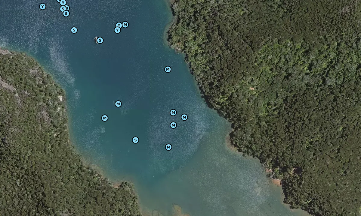 Satelite image of Kiwirki Bay