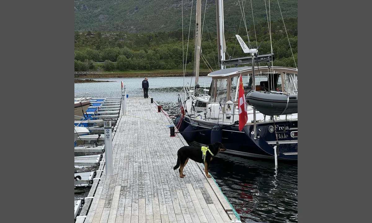 Kjærfjord Båthavn