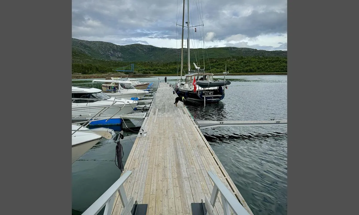 Kjærfjord Båthavn: {"base": "en", "no": "En side av den ytre flytebrygga er for bes\u00f8kende.", "se": "En sida av den yttre pontonen \u00e4r f\u00f6r bes\u00f6kare.", "en": "One side of the exterior pontoon is for visitors.", "da": "Den ene side af ydre ponton er for bes\u00f8gende."}