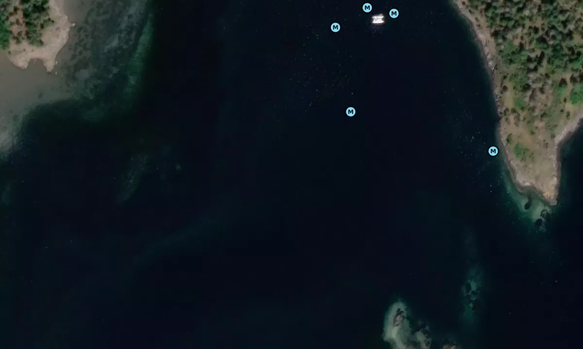 Satelite image of Kjellandsvik