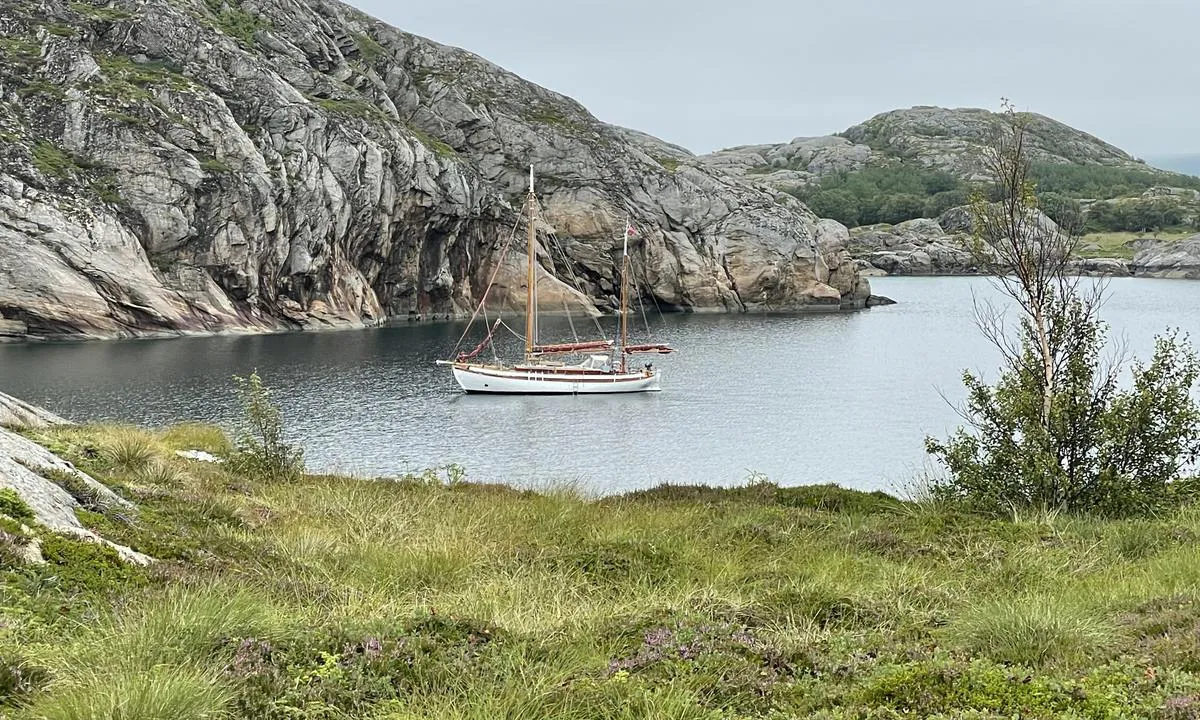 Fra Kjeøya mot svaibukta, utsikt fra V mot Ø. 
Dønna skimtes bak holmene øst i bukta.