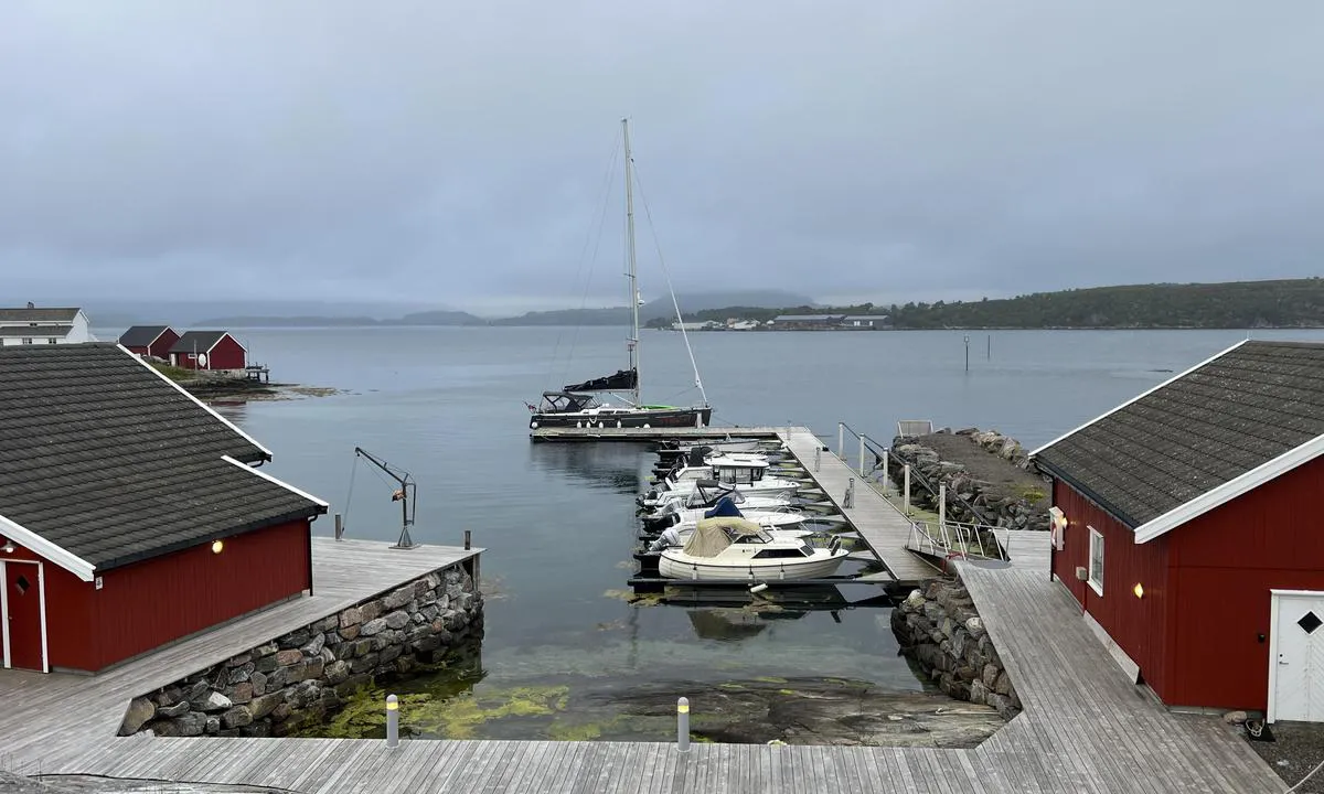 Kjønnøy småbåtshavn: Plass på begge sider av den ytre flytebrygga, men den indre plassen er noe begrenset på bredde.