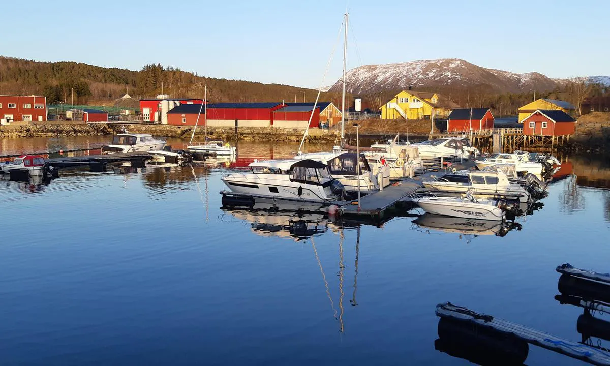 Kjørsvikbugen: {"base": "no", "no": "Havnen med gjestebrygge ytterst.", "se": "Hamnen med g\u00e4stbrygga ytterst.", "en": "The harbor with a guest dock at the outermost point.", "da": "Havnen med g\u00e6stebro yderst."}