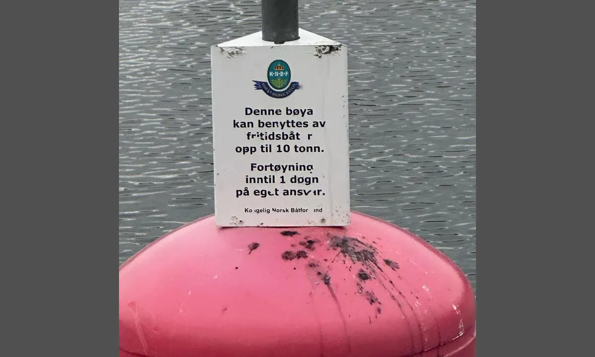 Kjøttakalven