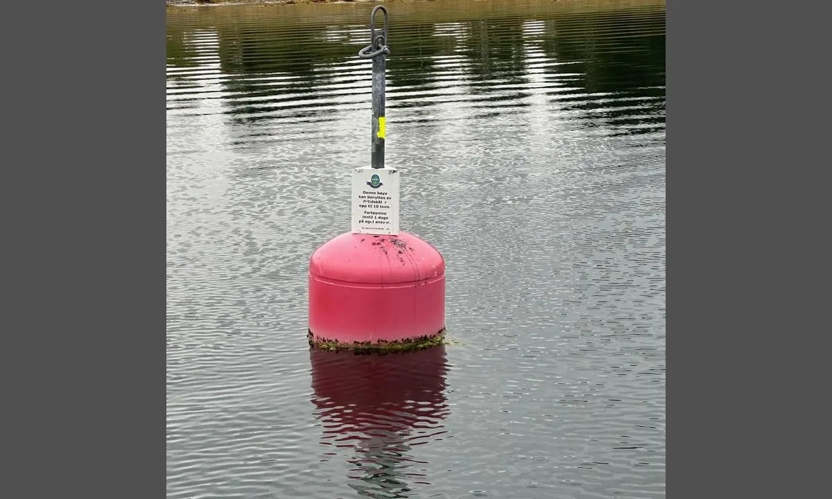 Kjøttakalven