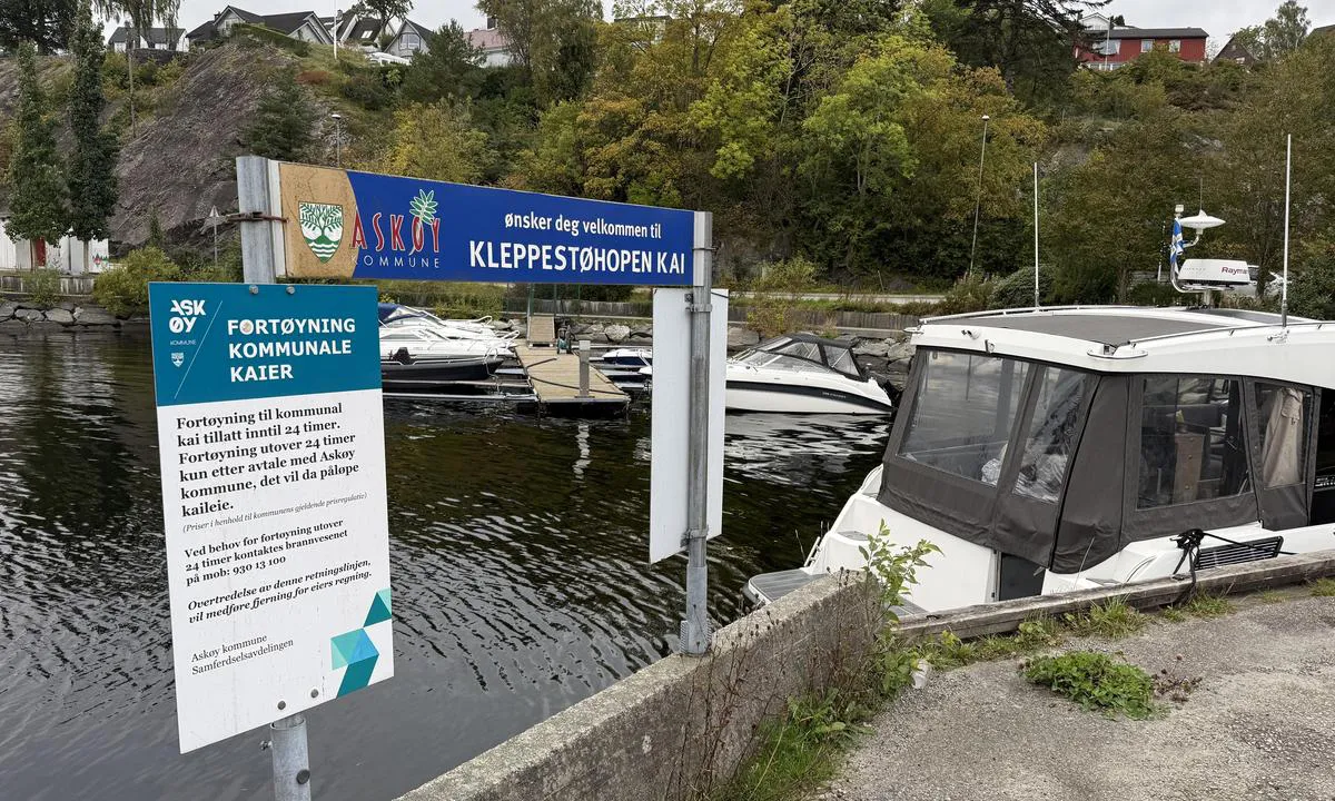 Kleppestøhopen