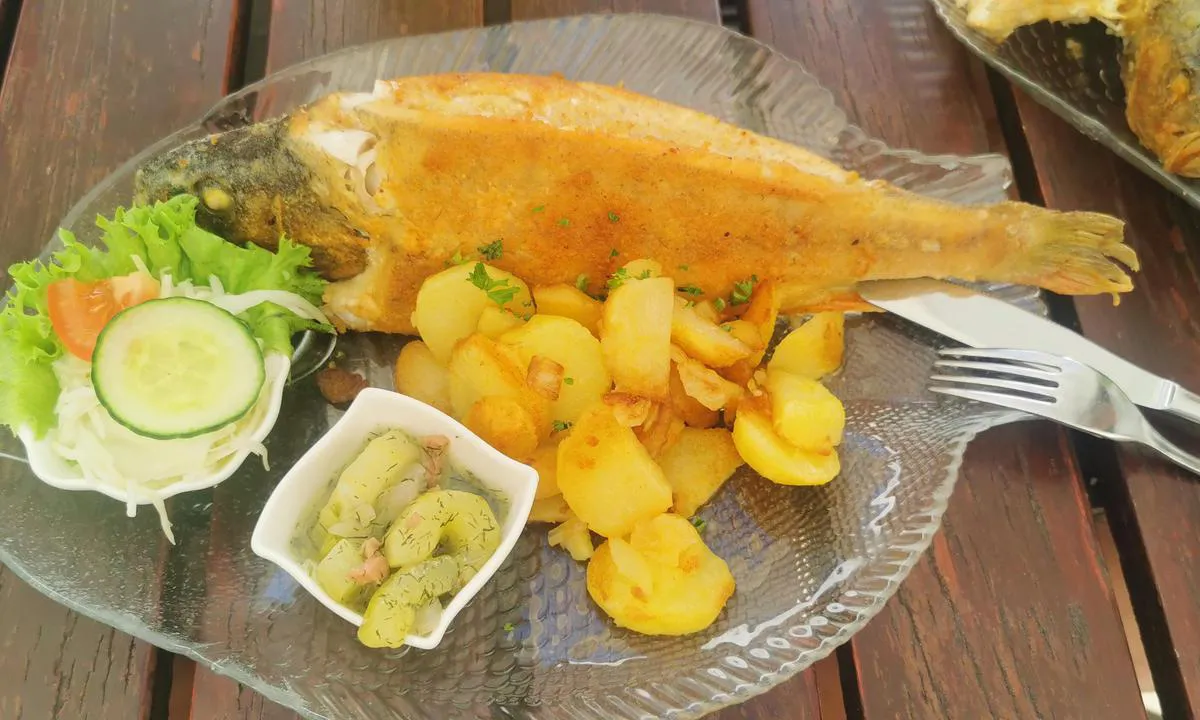 Kloster: {"base": "de", "no": "Til Klausner p\u00e5 Dornbusch, veldig god mat", "se": "Till Klausner vid Dornbusch mycket god mat", "en": "To Klausner at Dornbusch very good food", "da": "Til Klausner ved Dornbusch meget god mad", "fr": "Au Klausner \u00e0 Dornbusch tr\u00e8s bonne cuisine", "de": "Zum Klausner am Dornbusch sehr gutes Essen", "es": "Al Klausner en Dornbusch, muy buena comida", "it": "Alla Klausner al Dornbusch molto buon cibo", "pt": "Para o Klausner em Dornbusch, comida muito boa", "nl": "Bij Klausner aan de Dornbusch zeer goed eten", "pl": "Do Klausnera w Dornbusch bardzo dobre jedzenie", "uk": "\u0414\u043e \u041a\u043b\u0430\u0443\u0441\u043d\u0435\u0440\u0430 \u0431\u0456\u043b\u044f \u0414\u043e\u0440\u043d\u0431\u0443\u0448\u0430 \u0434\u0443\u0436\u0435 \u0434\u043e\u0431\u0440\u0430 \u0457\u0436\u0430", "ro": "La Klausner la Dornbusch m\u00e2ncare foarte bun\u0103", "tr": "Zum Klausner am Dornbusch'ta \u00e7ok iyi yemekler", "el": "\u03a3\u03c4\u03bf Klausner am Dornbusch \u03c0\u03bf\u03bb\u03cd \u03ba\u03b1\u03bb\u03cc \u03c6\u03b1\u03b3\u03b7\u03c4\u03cc", "cs": "Do Klausnera na Dornbuschu velmi dobr\u00e9 j\u00eddlo", "hu": "A Dornbuschn\u00e1l l\u00e9v\u0151 Klausnern\u00e9l nagyon j\u00f3 \u00e9telek", "fi": "Klausnerin majatalo Dornbuschissa tarjoaa eritt\u00e4in hyv\u00e4\u00e4 ruokaa", "bg": "\u0412 \u041a\u043b\u0430\u0443\u0441\u043d\u0435\u0440 \u0434\u043e \u0414\u043e\u0440\u043d\u0431\u0443\u0448 \u043c\u043d\u043e\u0433\u043e \u0434\u043e\u0431\u0440\u0430 \u0445\u0440\u0430\u043d\u0430", "sr": "Do Klausnera na Dornbuschu veoma dobra hrana", "et": "Dornbuschi varjuline kant, v\u00e4ga hea toit", "lv": "Pie Klausnera pie Dornbu\u0161a \u013coti labs \u0113diens", "lt": "Pas Klausner prie Dornbusch labai geras maistas"}