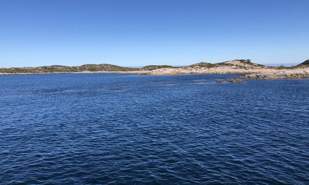 Klubbøya: {"base": "no", "no": "Pass deg for de umerkede skvalpeskj\u00e6rene s\u00f8rvest for Klubb\u00f8ya. Du f\u00e5r de p\u00e5 babord n\u00e5r du seiler inn leden p\u00e5 sydsiden av Klubb\u00f8ya.", "se": "Se upp f\u00f6r de omarkerade grunden sydv\u00e4st om Klubb\u00f8ya. Du f\u00e5r dem p\u00e5 babord n\u00e4r du seglar in leden p\u00e5 sydsidan av Klubb\u00f8ya.", "en": "Beware of the unmarked reefs southwest of Klubb\u00f8ya. You will have them on port side when you sail into the channel on the south side of Klubb\u00f8ya.", "da": "Pas p\u00e5 de um\u00e6rkede skvalpesk\u00e6r sydvest for Klubb\u00f8ya. Du f\u00e5r dem p\u00e5 babord, n\u00e5r du sejler ind i leden p\u00e5 sydsiden af Klubb\u00f8ya."}