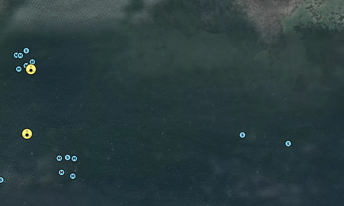 Satelite image of Knebel Vig