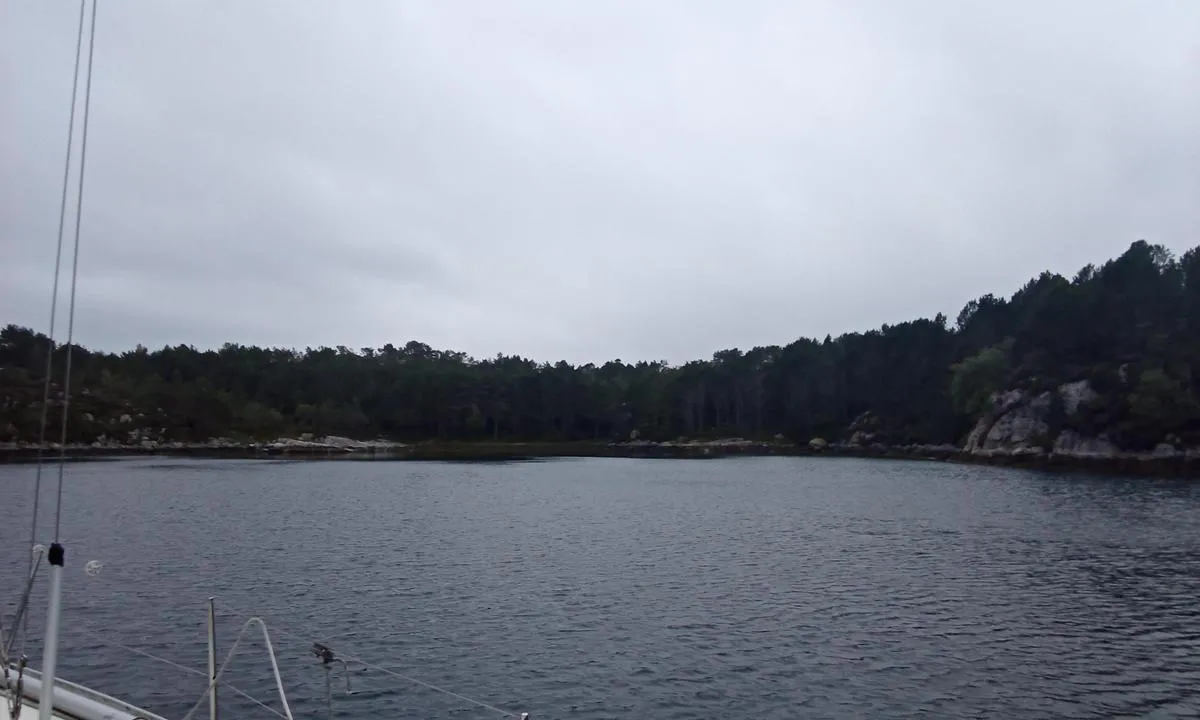 Kobbavika